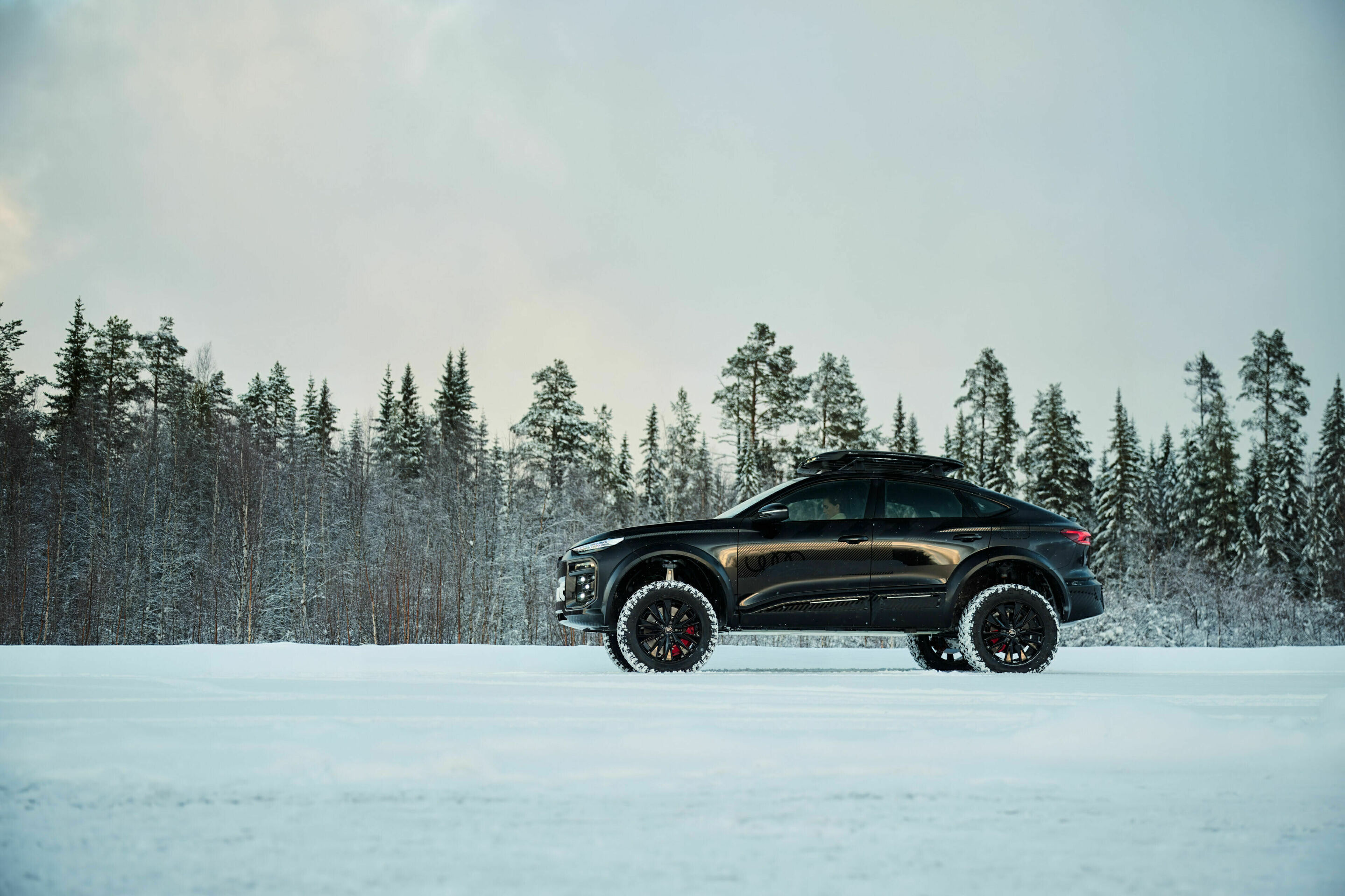 Audi Q6 e-tron offroad concept (2025), photo 5