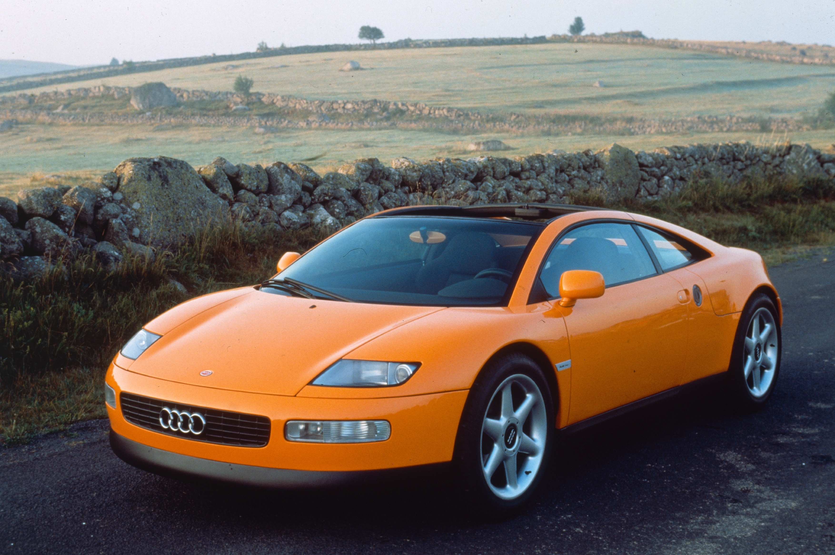 Audi quattro Spyder