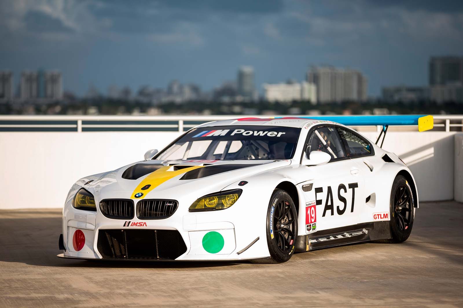 John Baldessari BMW M6 GTLM Art Car #18 (2016), side view