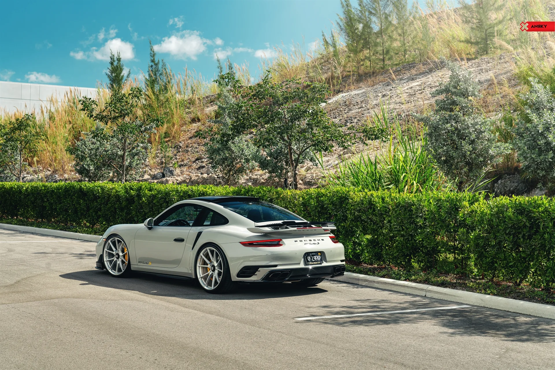 Anrky AN12 SeriesONE Monoblock on Porsche 911 991.1, photo 6