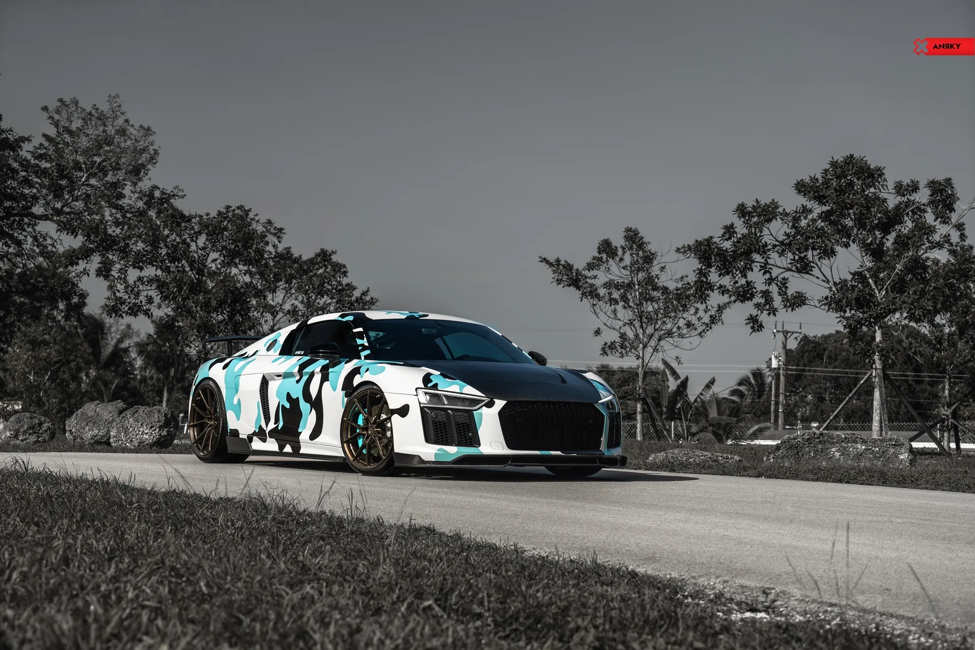Anrky AN12 SeriesONE Monoblock on Audi R8 Type 4S.1, photo 3