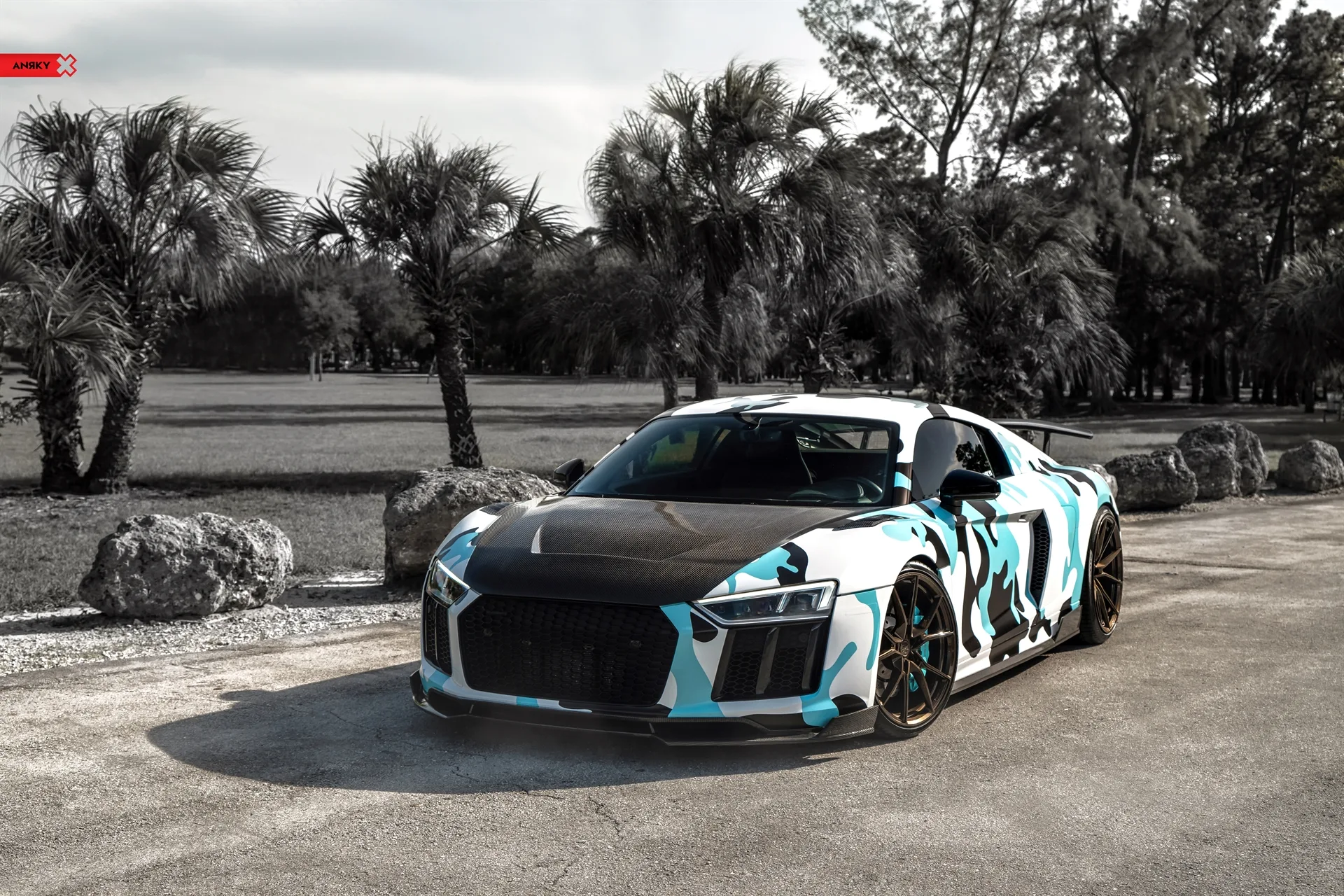 Anrky AN12 SeriesONE Monoblock on Audi R8 Type 4S.1, photo 12