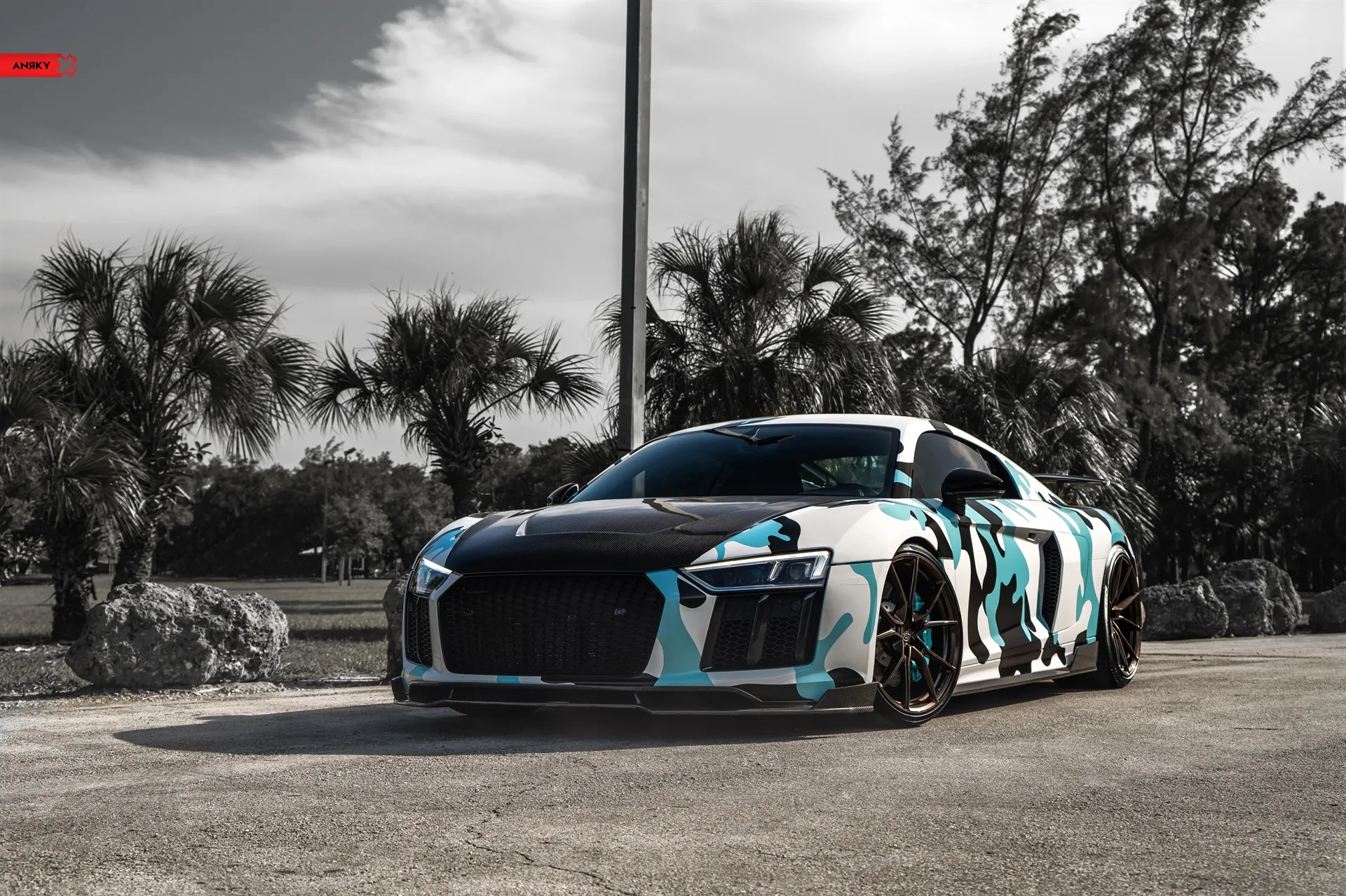 Anrky AN12 SeriesONE Monoblock on Audi R8 Type 4S.1, photo 11
