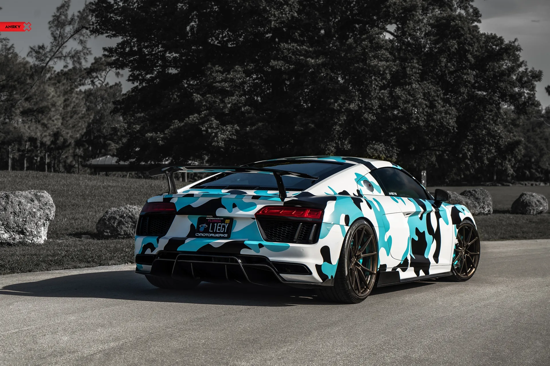 Anrky AN12 SeriesONE Monoblock on Audi R8 Type 4S.1, photo 4