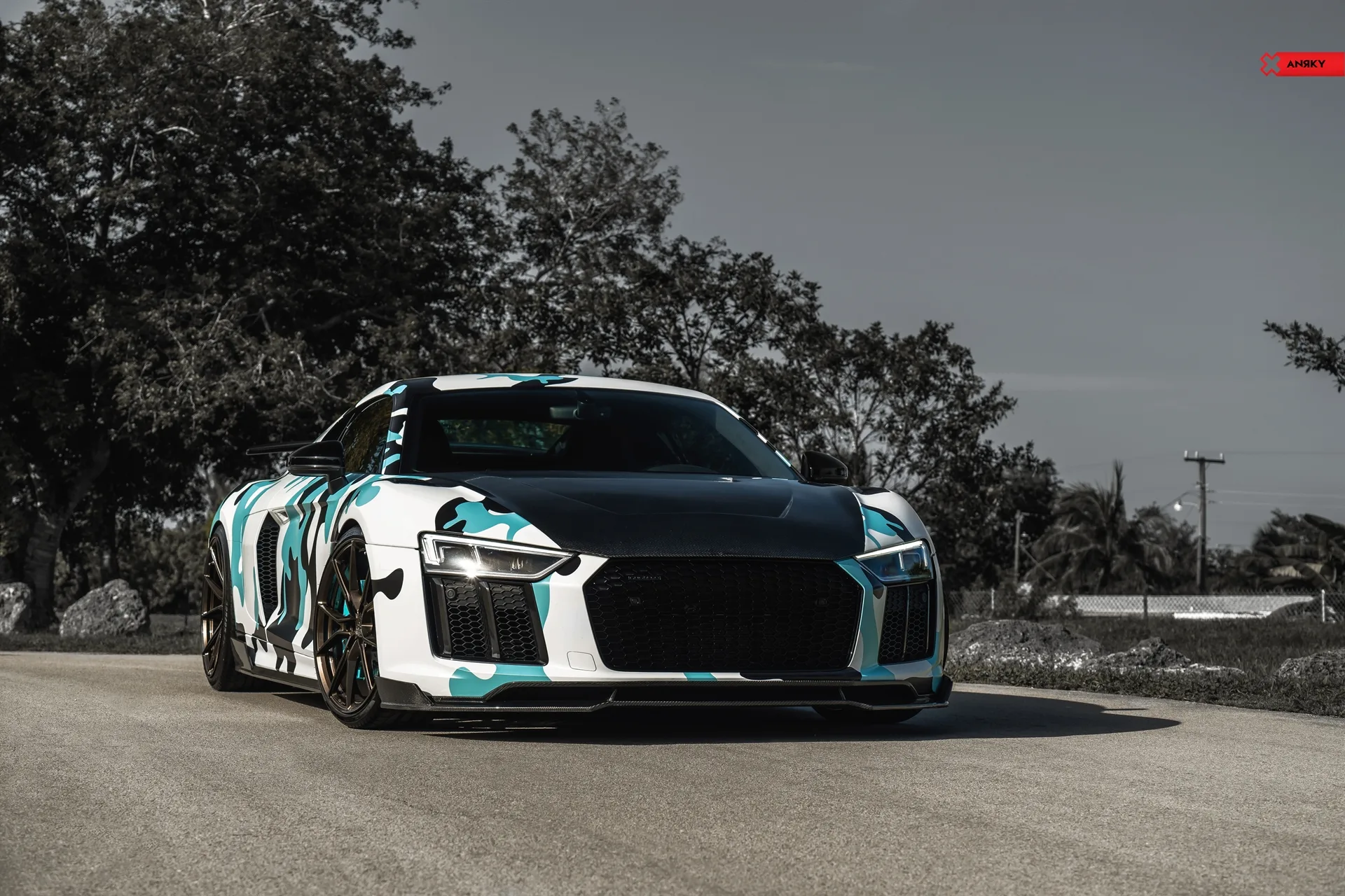 Anrky AN12 SeriesONE Monoblock on Audi R8 Type 4S.1, photo 6