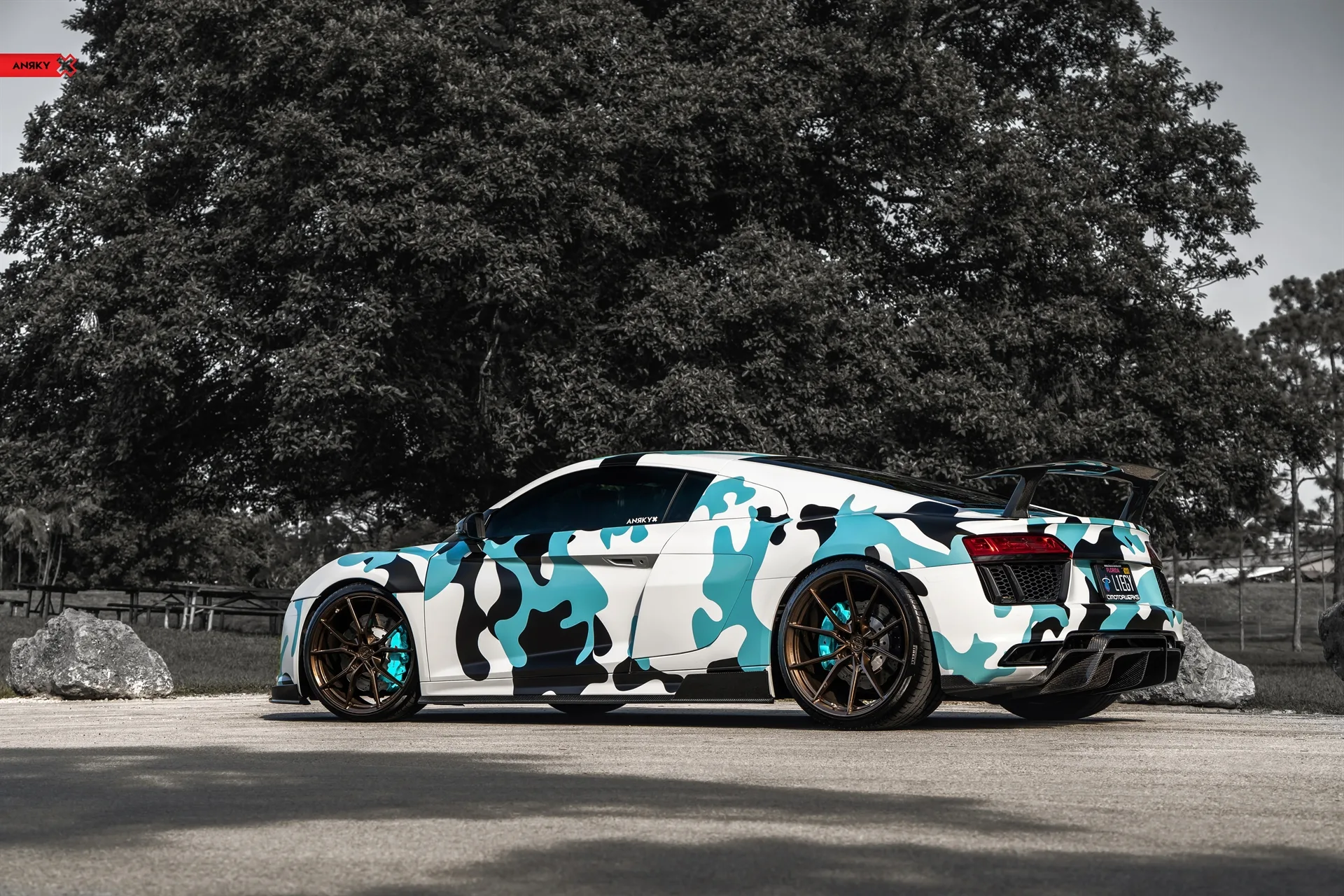 Anrky AN12 SeriesONE Monoblock on Audi R8 Type 4S.1, photo 7