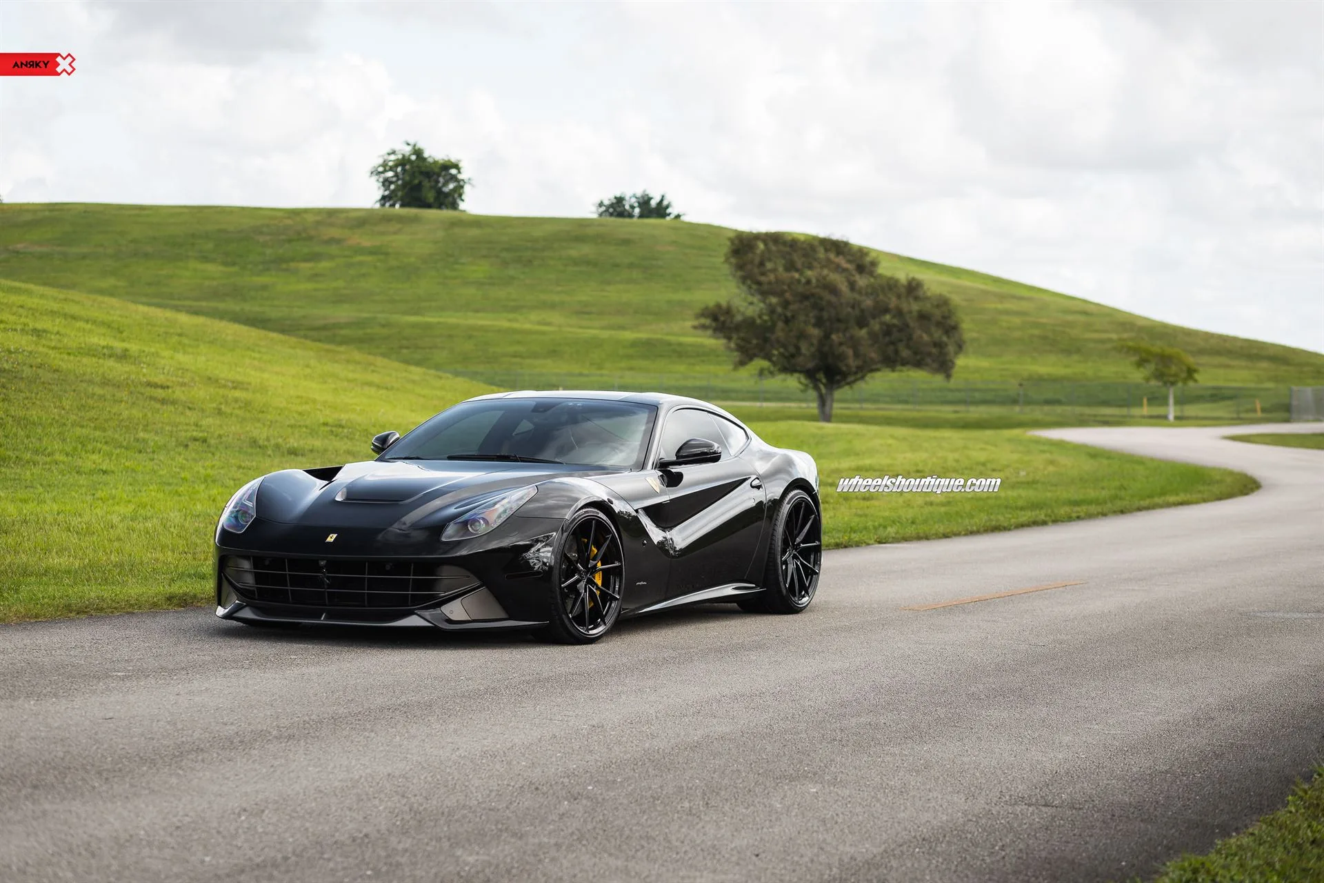 Anrky AN12 SeriesONE Monoblock on Ferrari F12 F152, photo 7