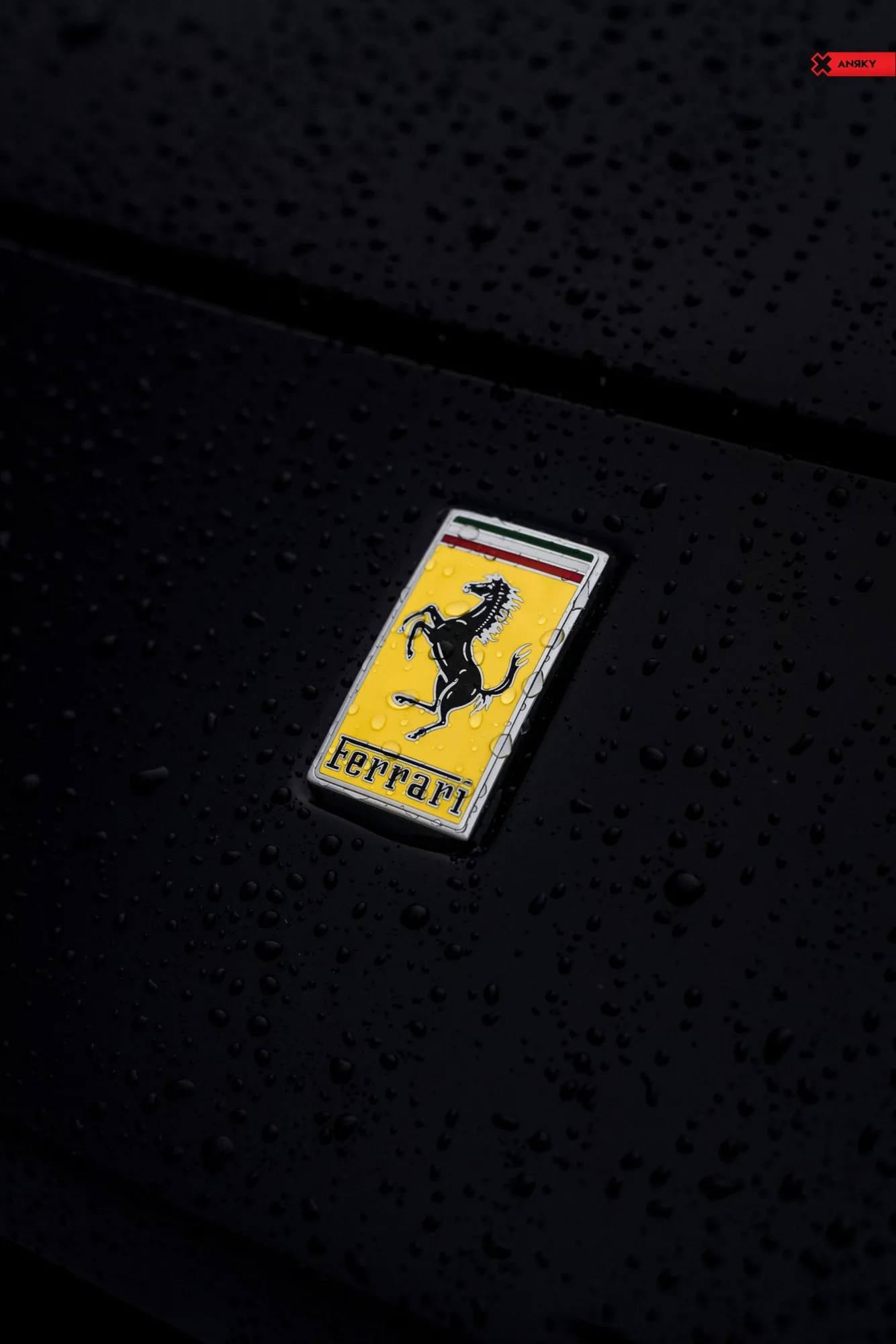Anrky AN14 SeriesONE Monoblock on Ferrari FF F151, photo 9