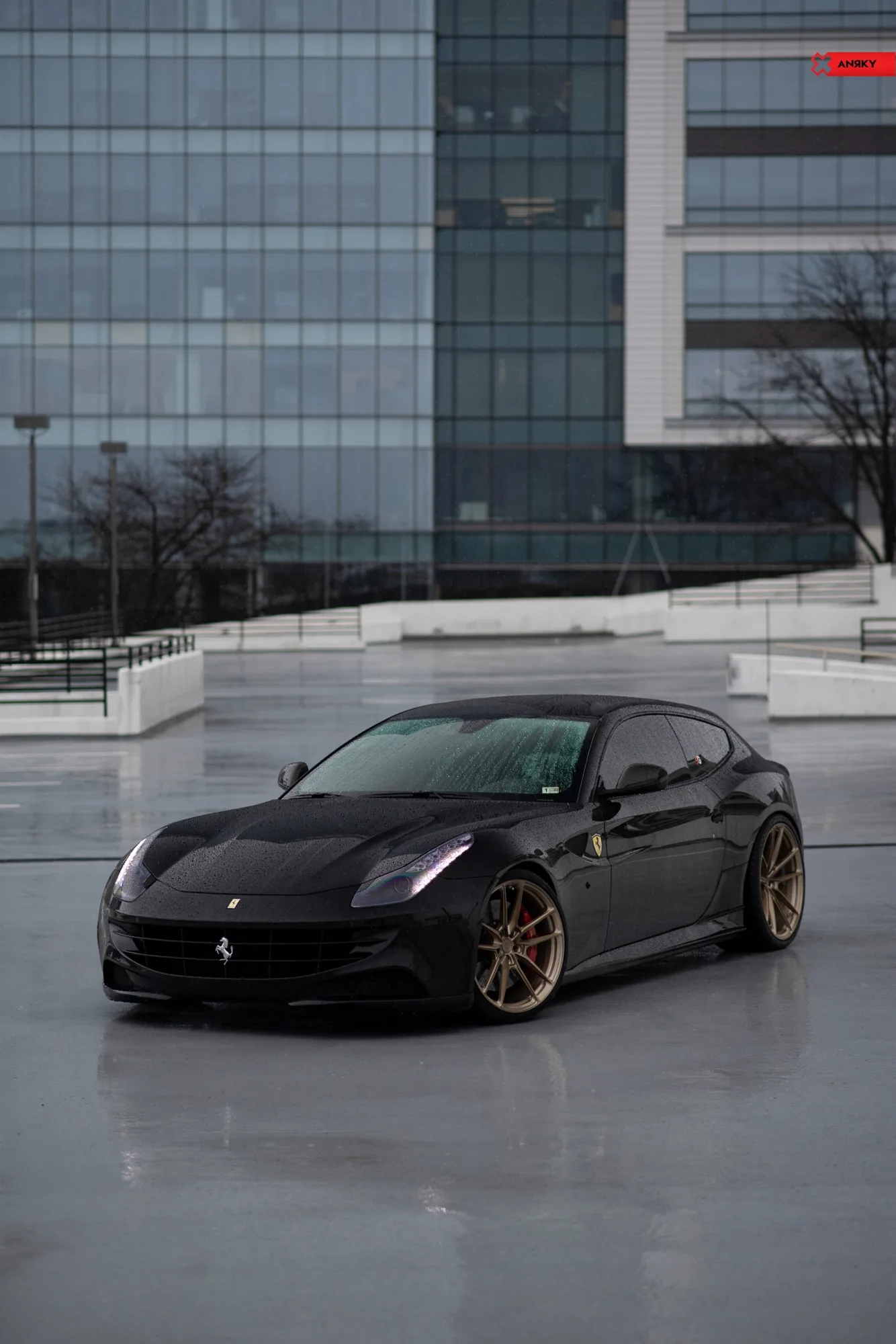 Anrky AN14 SeriesONE Monoblock on Ferrari FF F151, photo 2