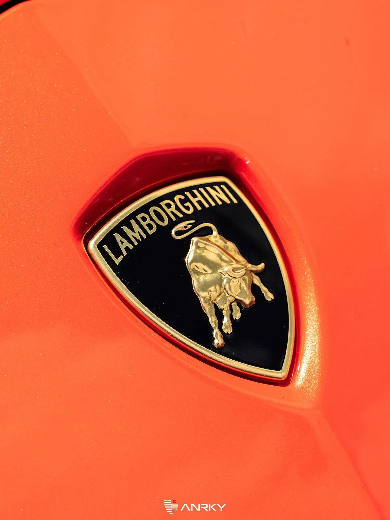 Anrky AN20+AEROSport on Lamborghini Aventador First Gen.1, photo 3