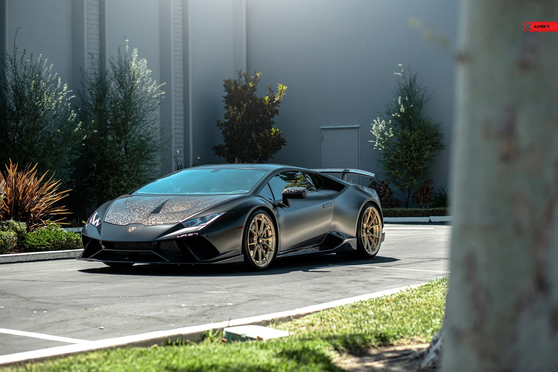 Anrky AN22 SeriesTWO on Lamborghini Huracan Performante LP 640-4 (2017-2019), photo 12