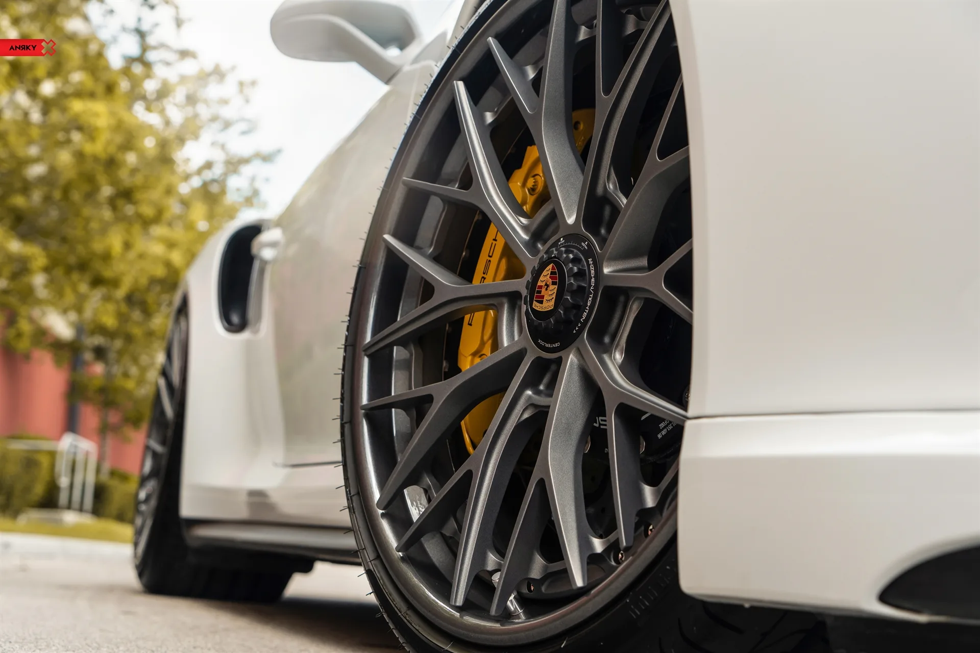 Anrky AN30 SeriesTHREE on Porsche 911 991.1, photo 10