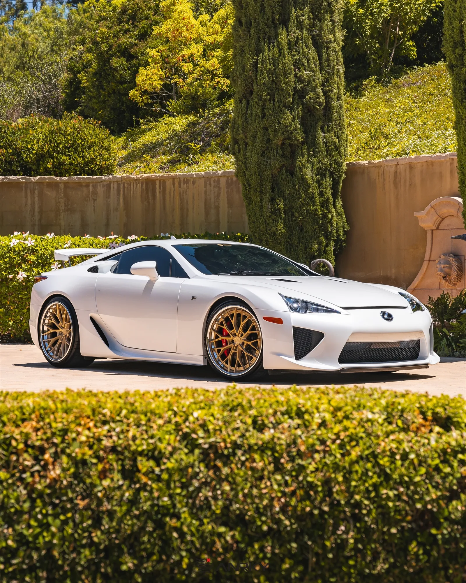 Anrky AN30 SeriesTHREE on Lexus LFA, photo 9