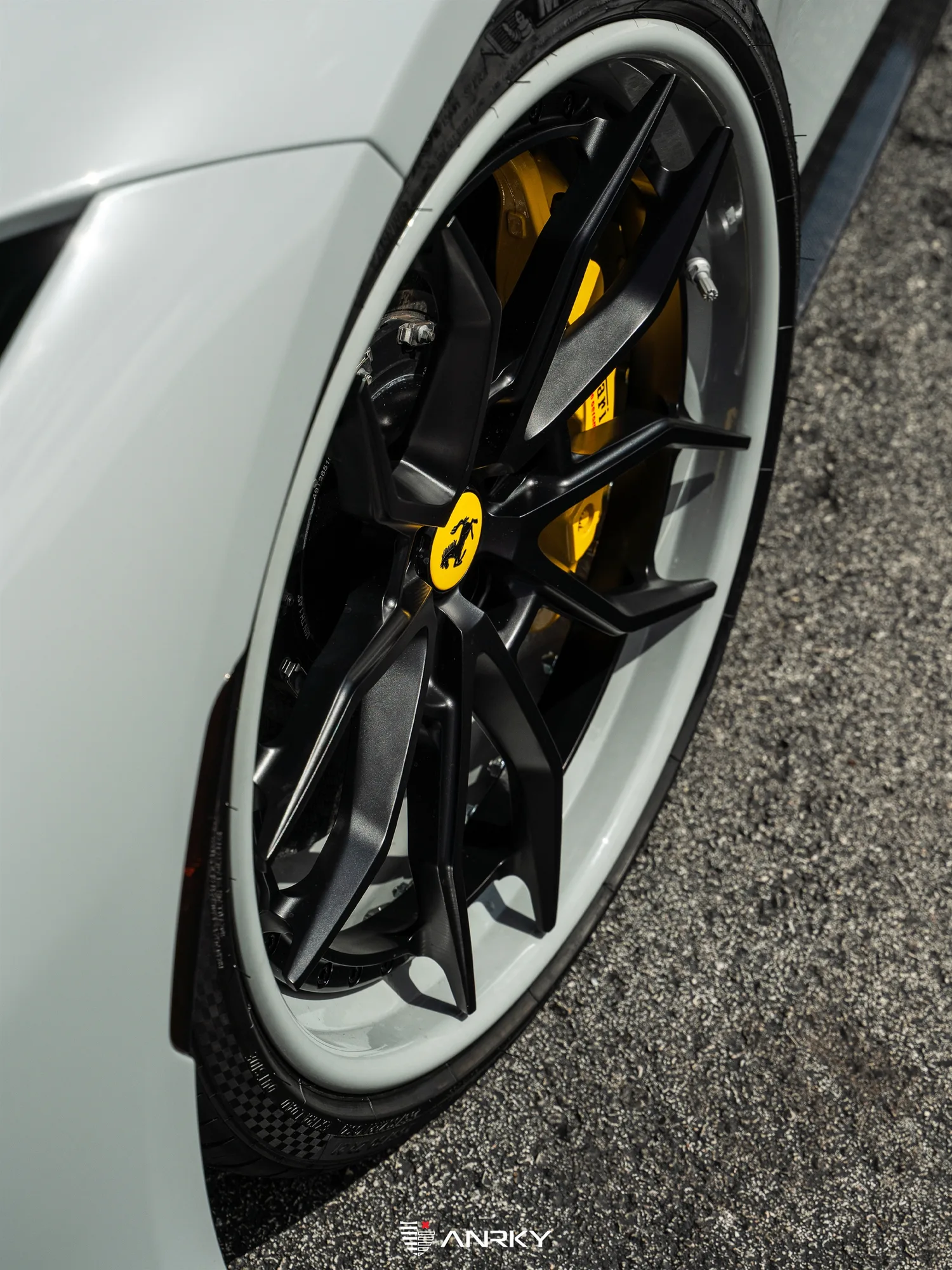 Anrky AN31 SeriesTHREE on Ferrari F8 F142MFL, photo 12