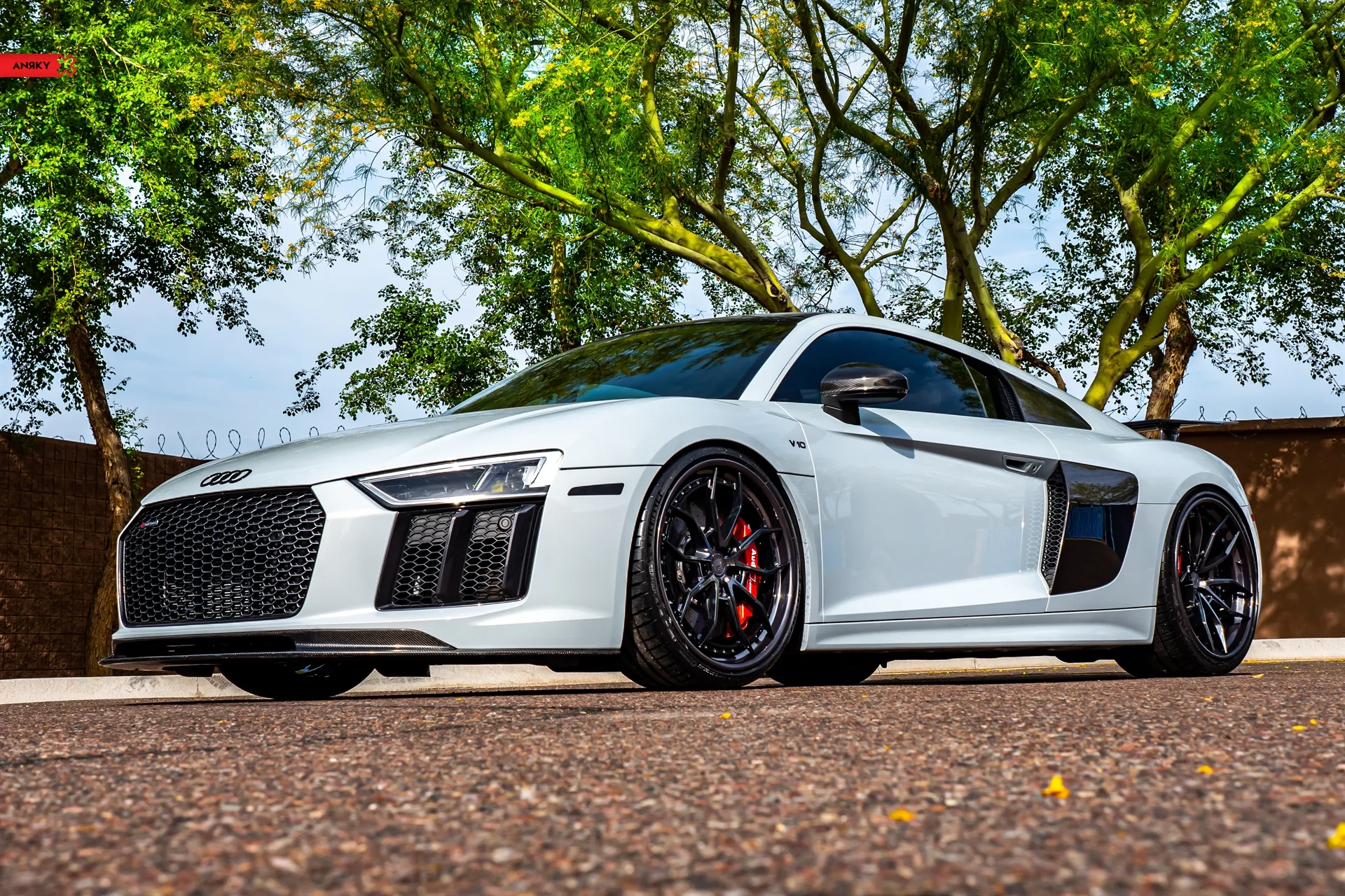 Anrky AN31 SeriesTHREE on Audi R8 Type 4S.1, photo 4