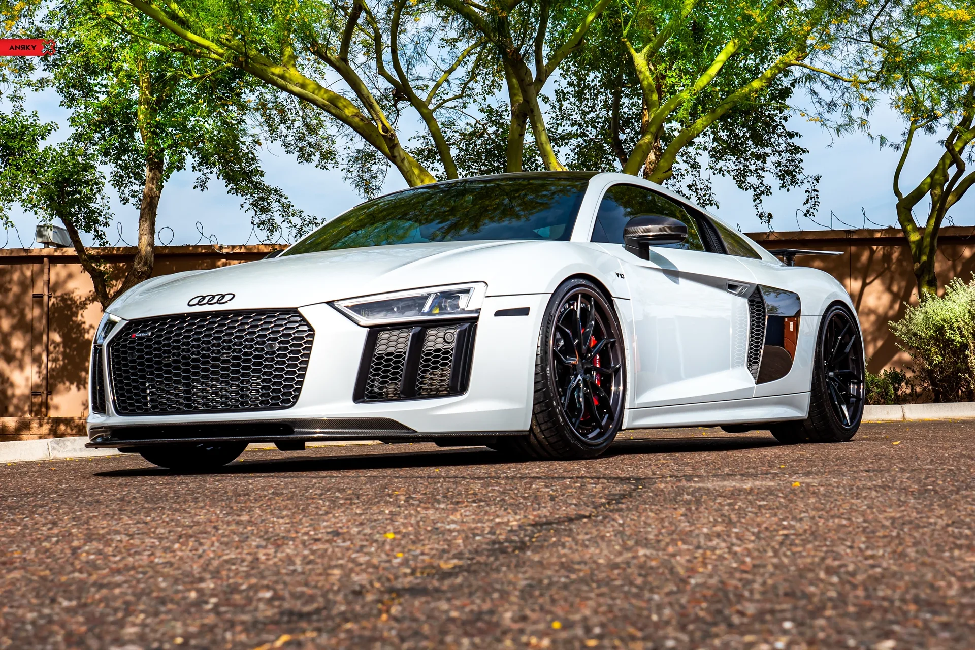 Anrky AN31 SeriesTHREE on Audi R8 Type 4S.1, photo 2