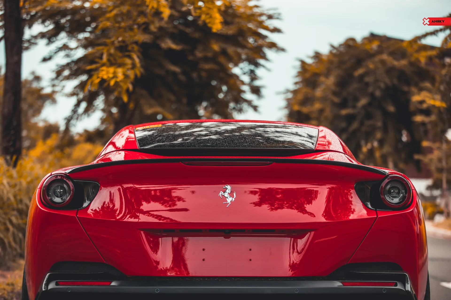 Anrky AN37 SeriesTHREE on Ferrari Portofino, photo 3