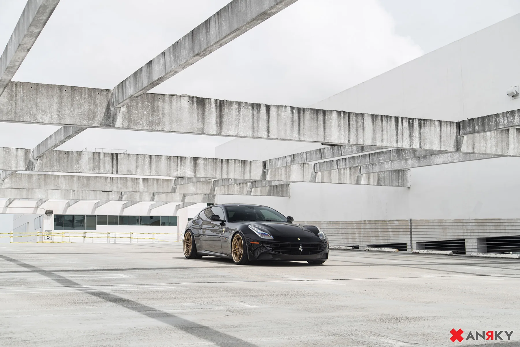 Anrky AN37 on Ferrari FF F151, photo 8