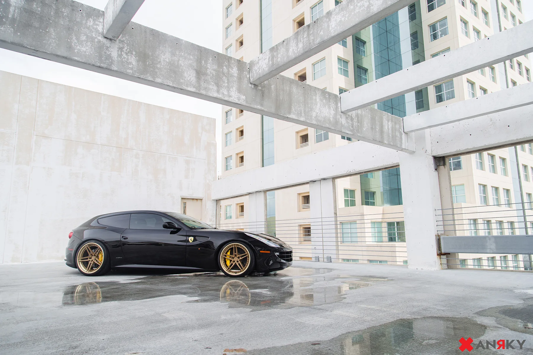 Anrky AN37 on Ferrari FF F151, photo 9
