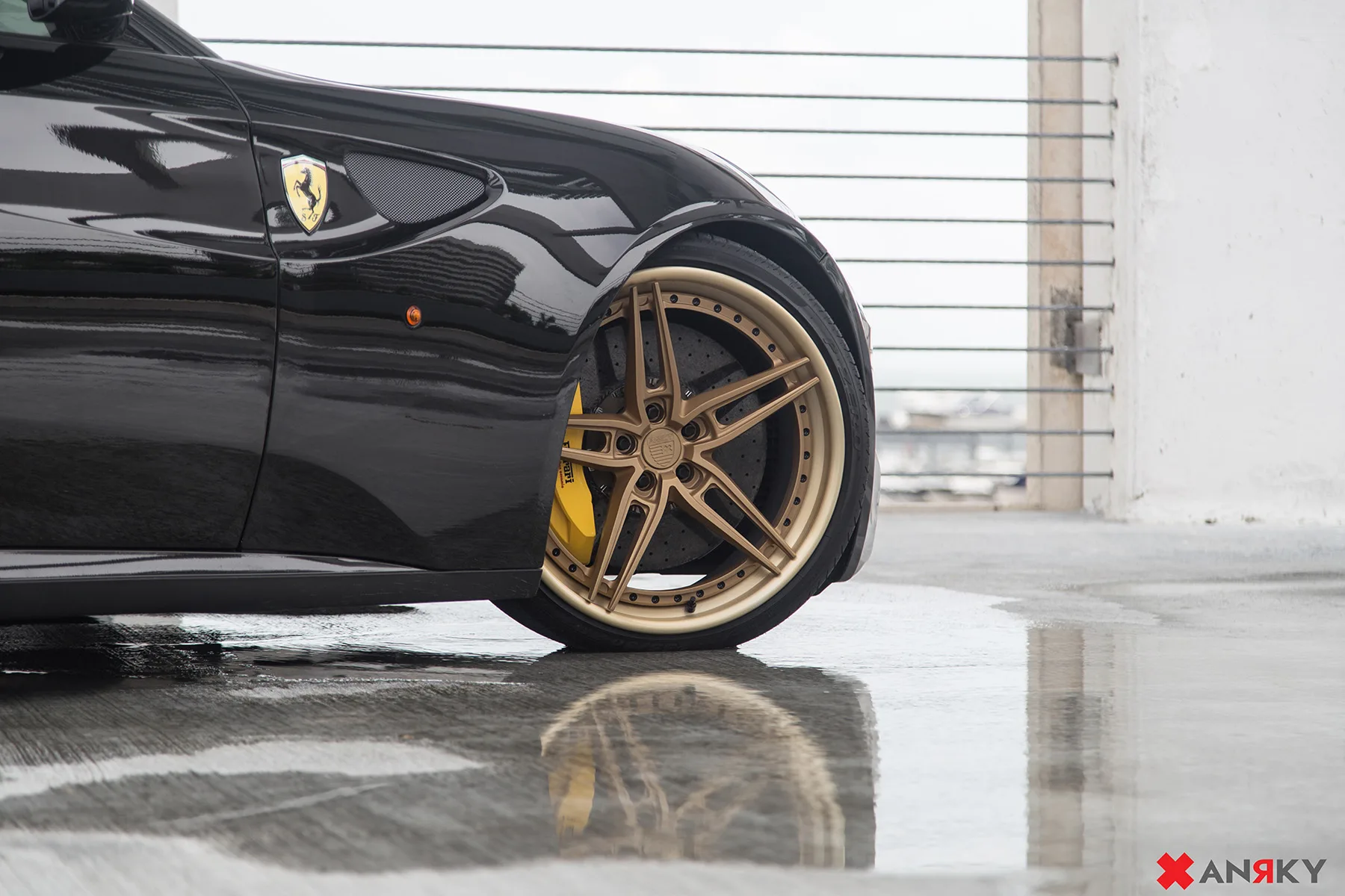 Anrky AN37 on Ferrari FF F151, photo 3