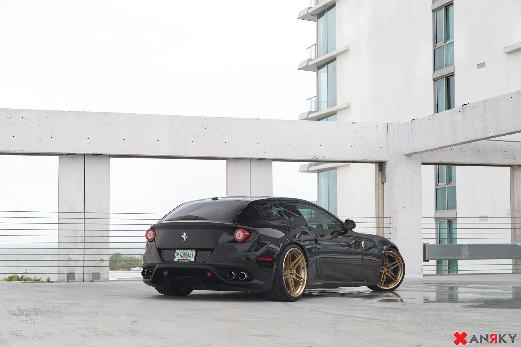 Anrky AN37 on Ferrari FF F151, photo 4
