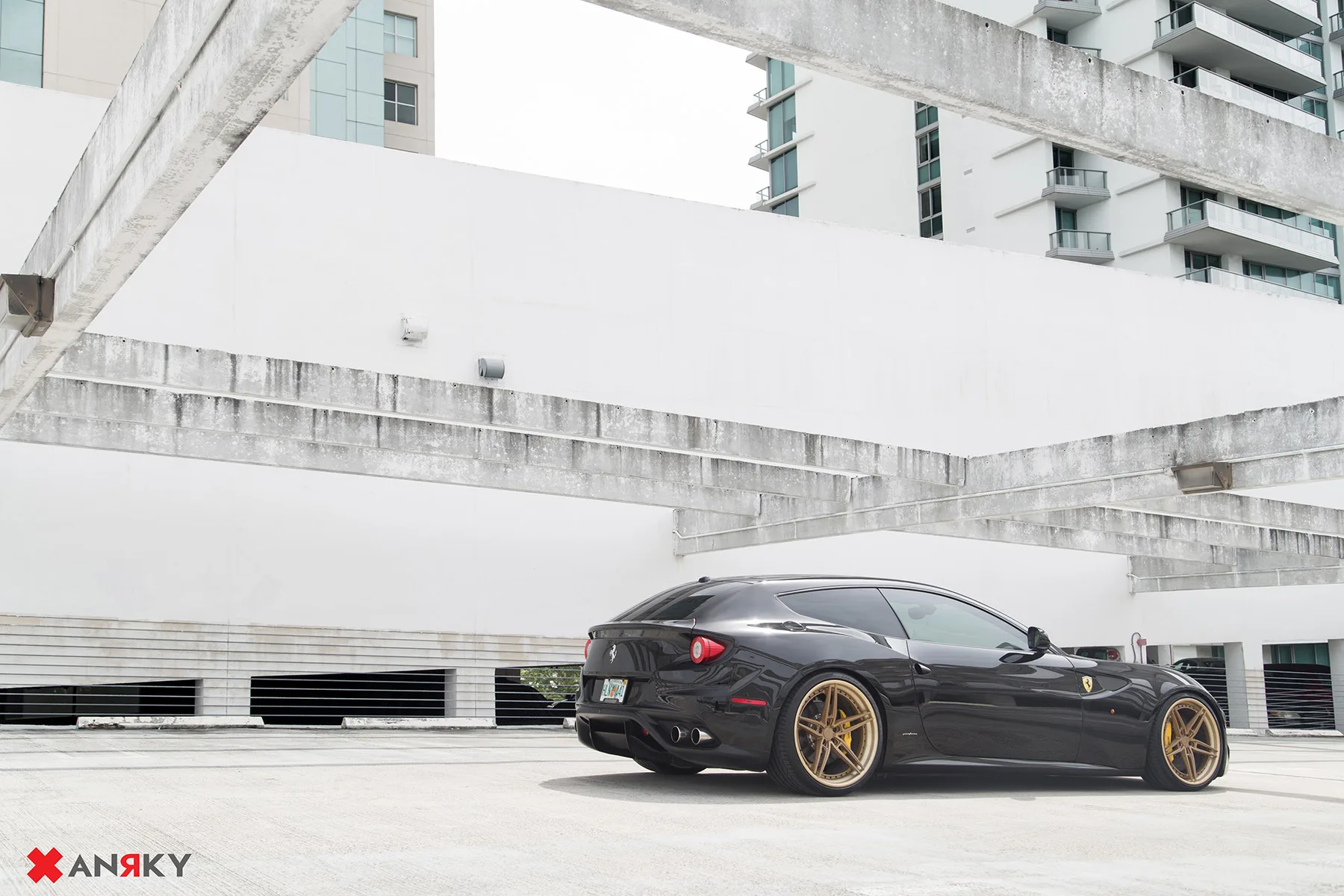 Anrky AN37 on Ferrari FF F151, photo 5