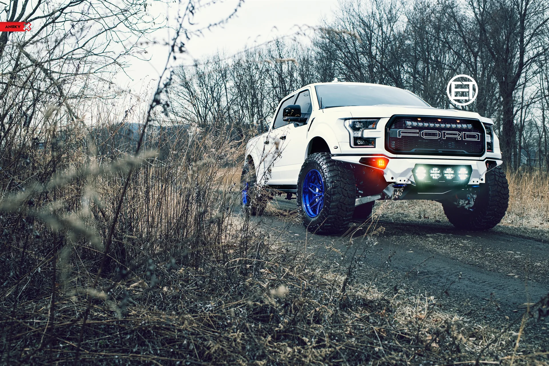 Anrky Blue AN36 SeriesTHREE on Ford F-150 Raptor 2nd generation (2017-2020), photo 10