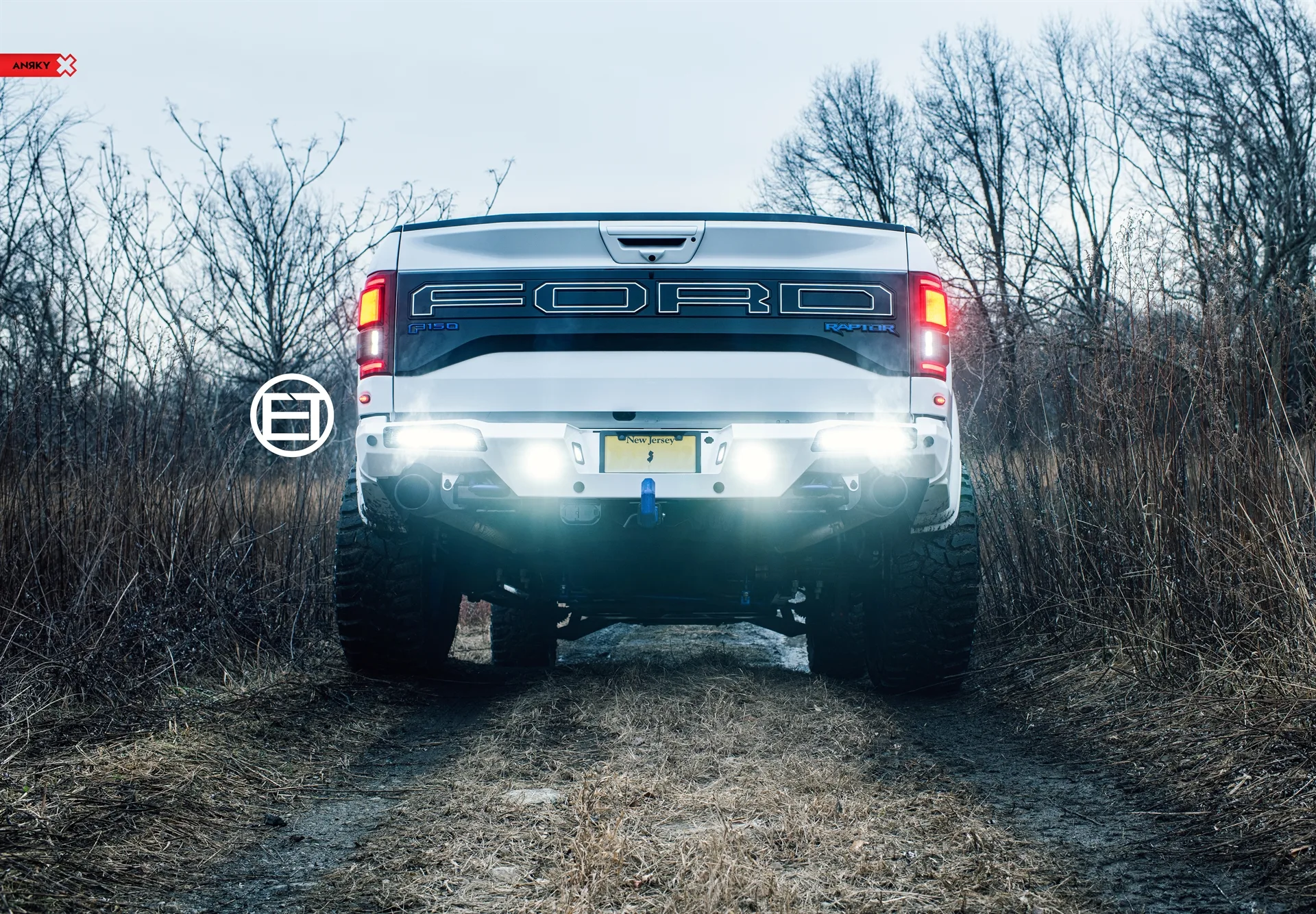 Anrky Blue AN36 SeriesTHREE on Ford F-150 Raptor 2nd generation (2017-2020), photo 12