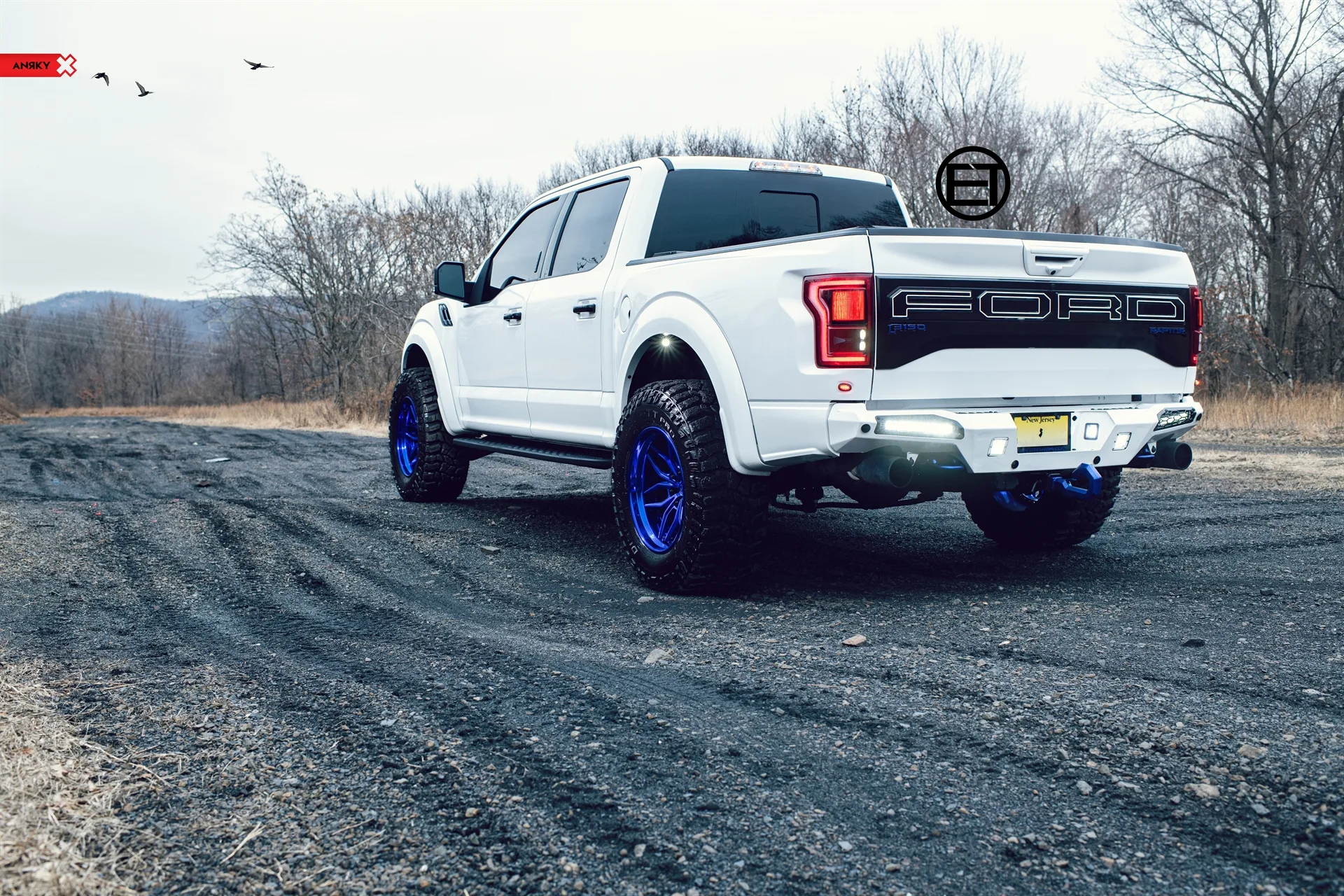 Anrky Blue AN36 SeriesTHREE on Ford F-150 Raptor 2nd generation (2017-2020), photo 8
