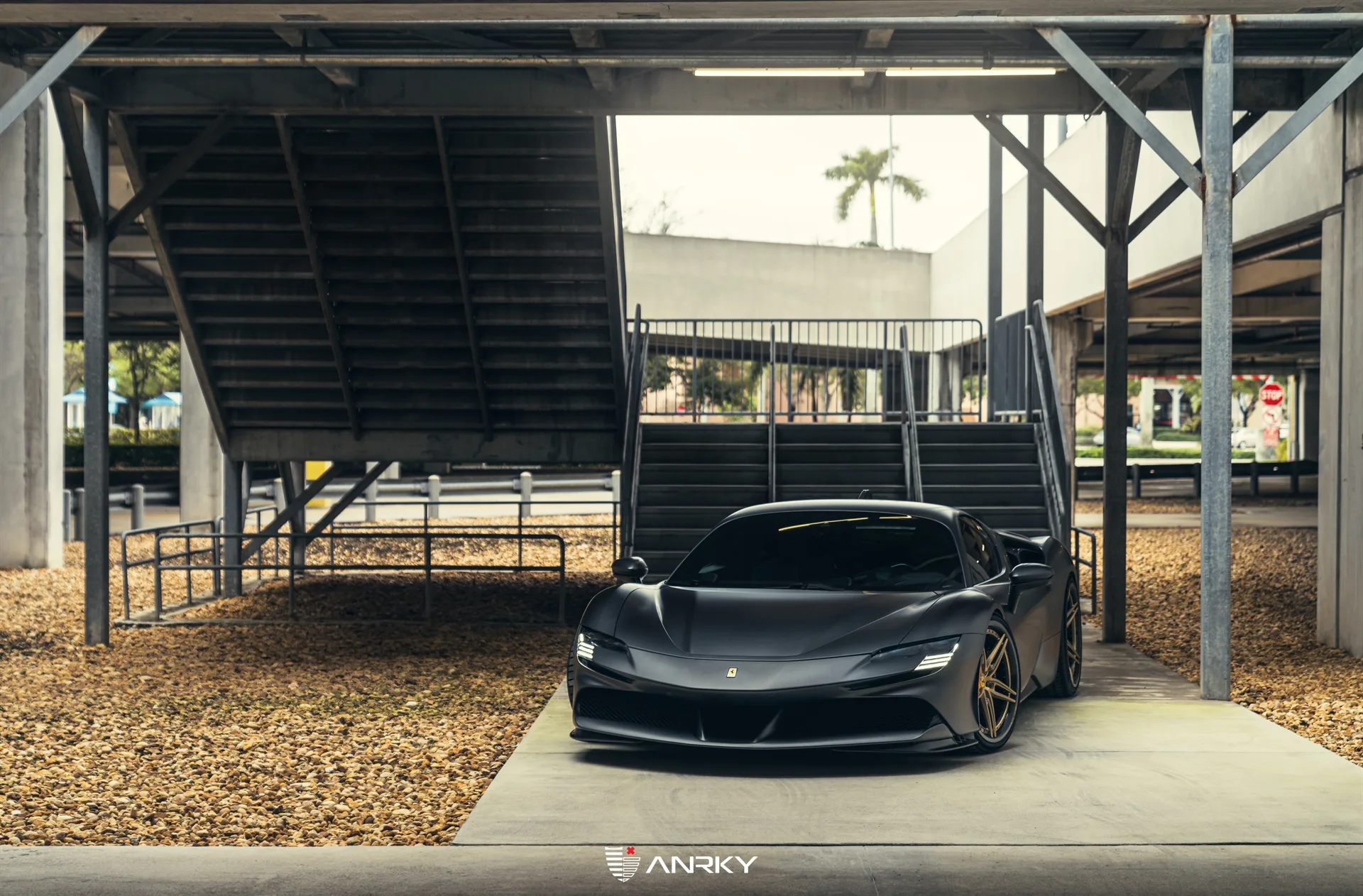 Anrky CARBONComposite Series C37