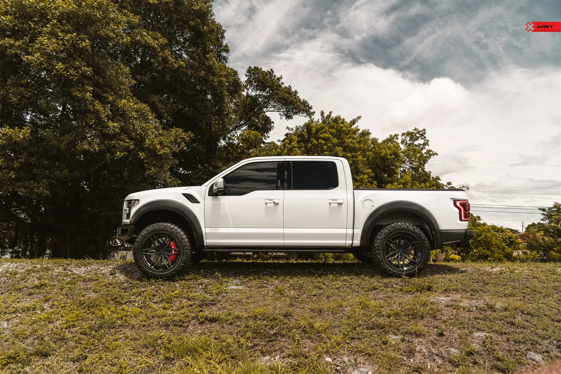 Anrky Ford F150 Raptor, AN36 SeriesTHREE on Ford F-150 Raptor 2nd generation (2017-2020), photo 3