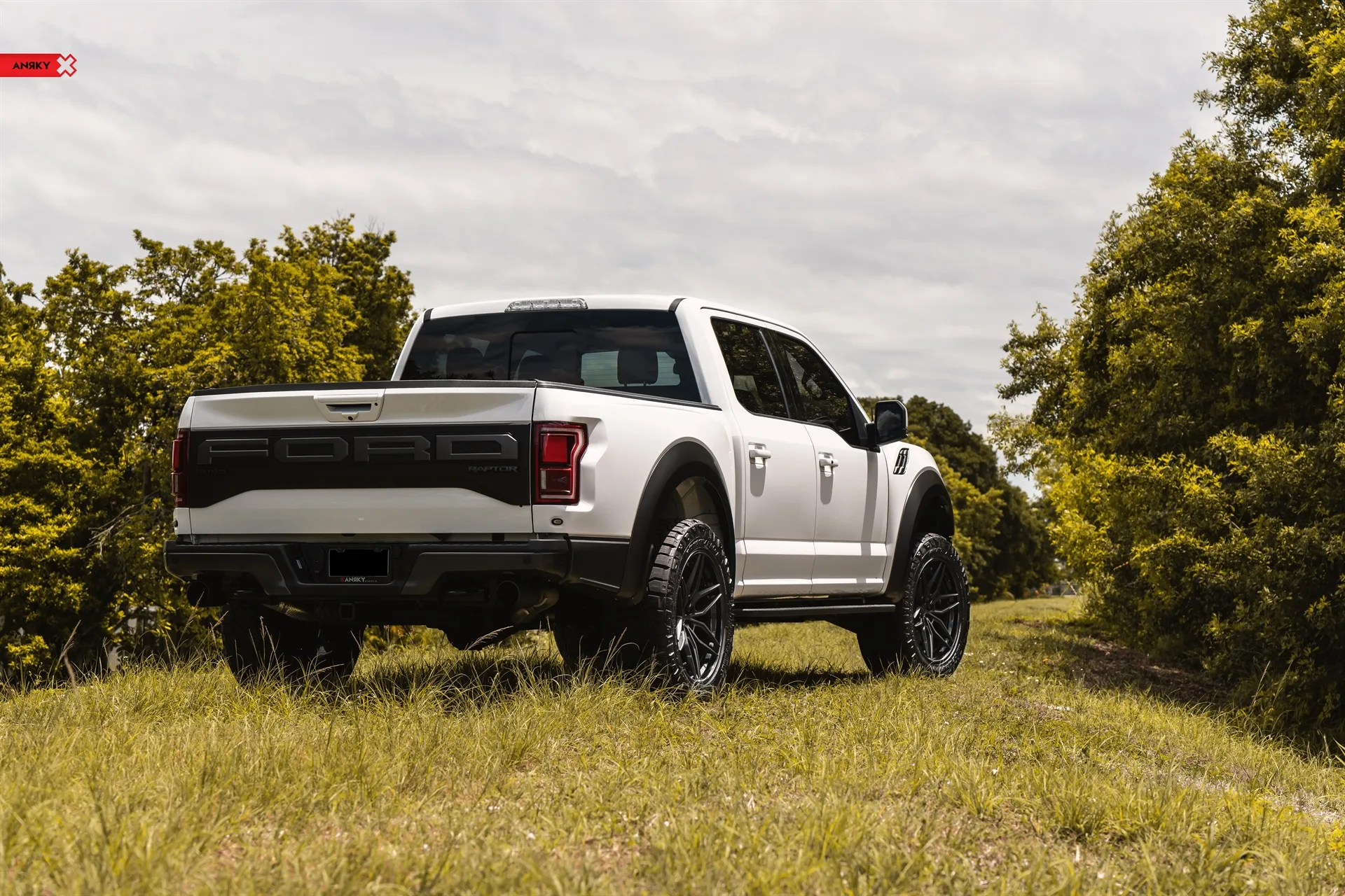 Anrky Ford F150 Raptor, AN36 SeriesTHREE on Ford F-150 Raptor 2nd generation (2017-2020), photo 10