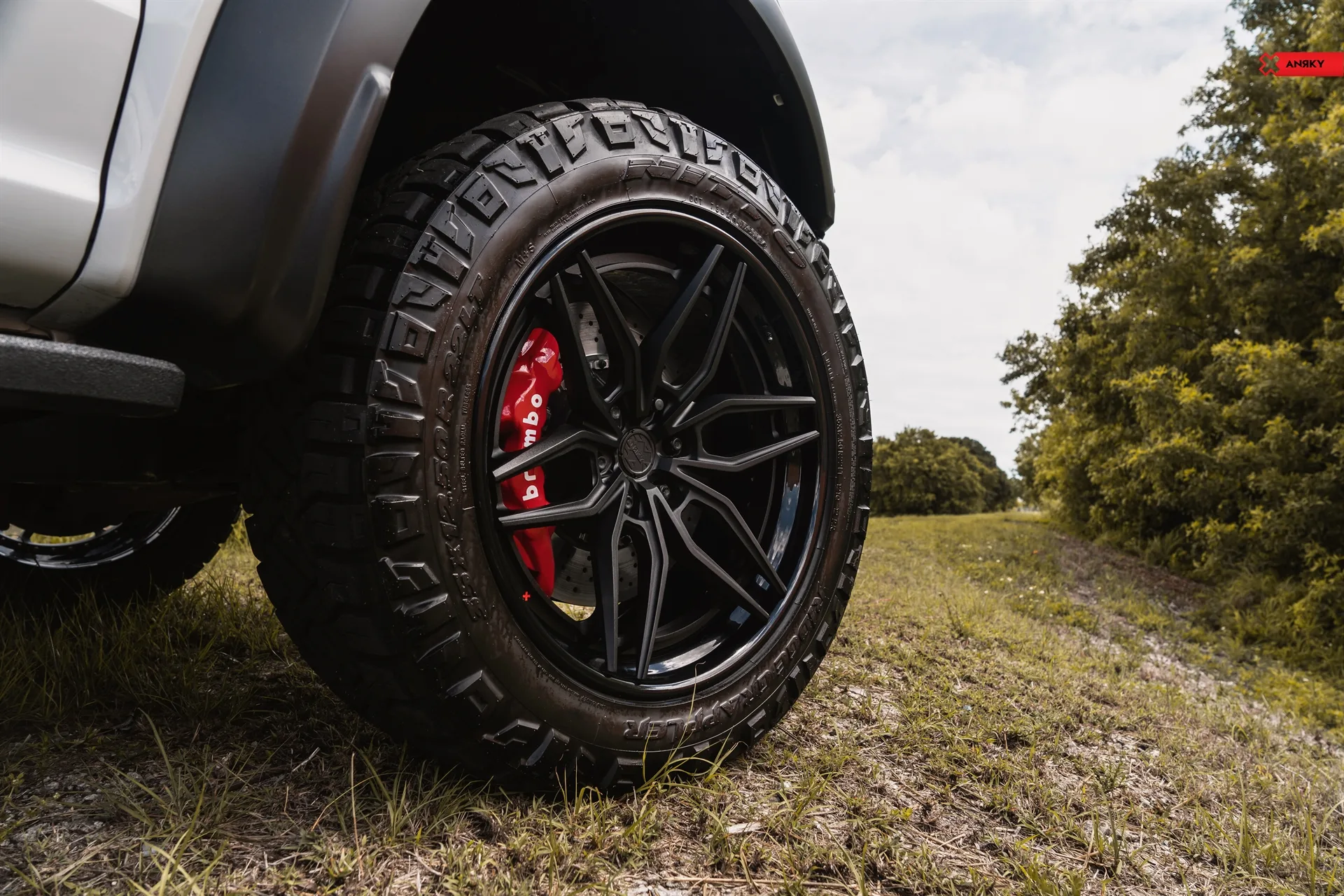 Anrky Ford F150 Raptor, AN36 SeriesTHREE on Ford F-150 Raptor 2nd generation (2017-2020), photo 6