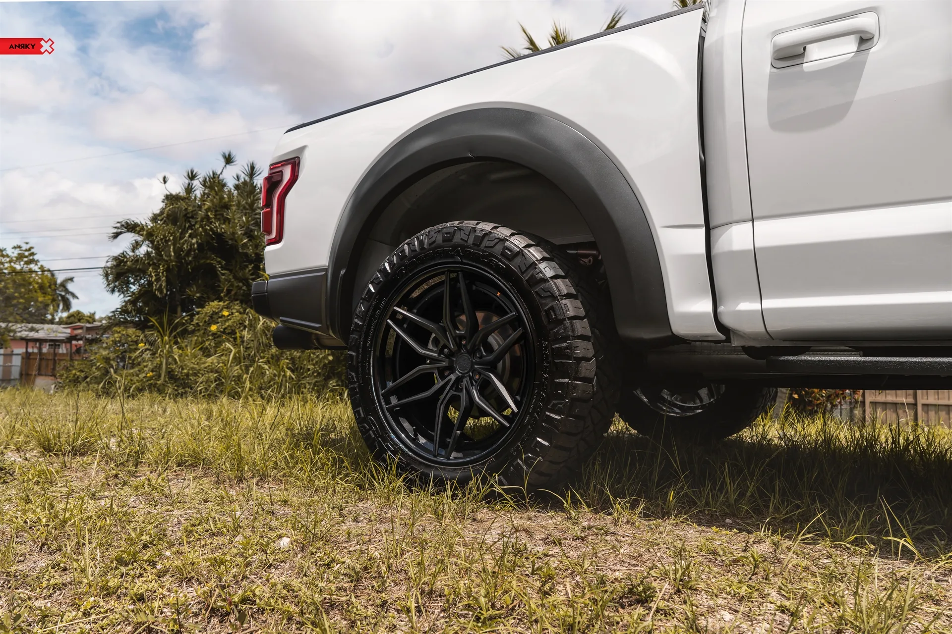 Anrky Ford F150 Raptor, AN36 SeriesTHREE on Ford F-150 Raptor 2nd generation (2017-2020), photo 4