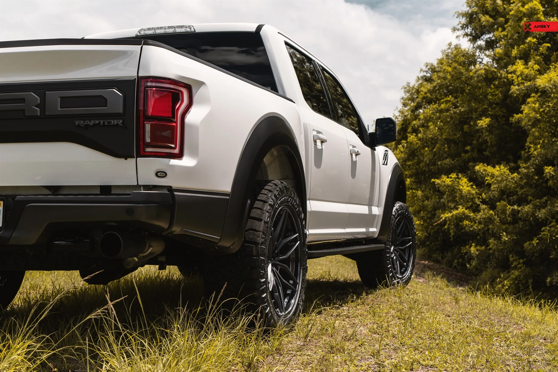 Anrky Ford F150 Raptor, AN36 SeriesTHREE on Ford F-150 Raptor 2nd generation (2017-2020), photo 5