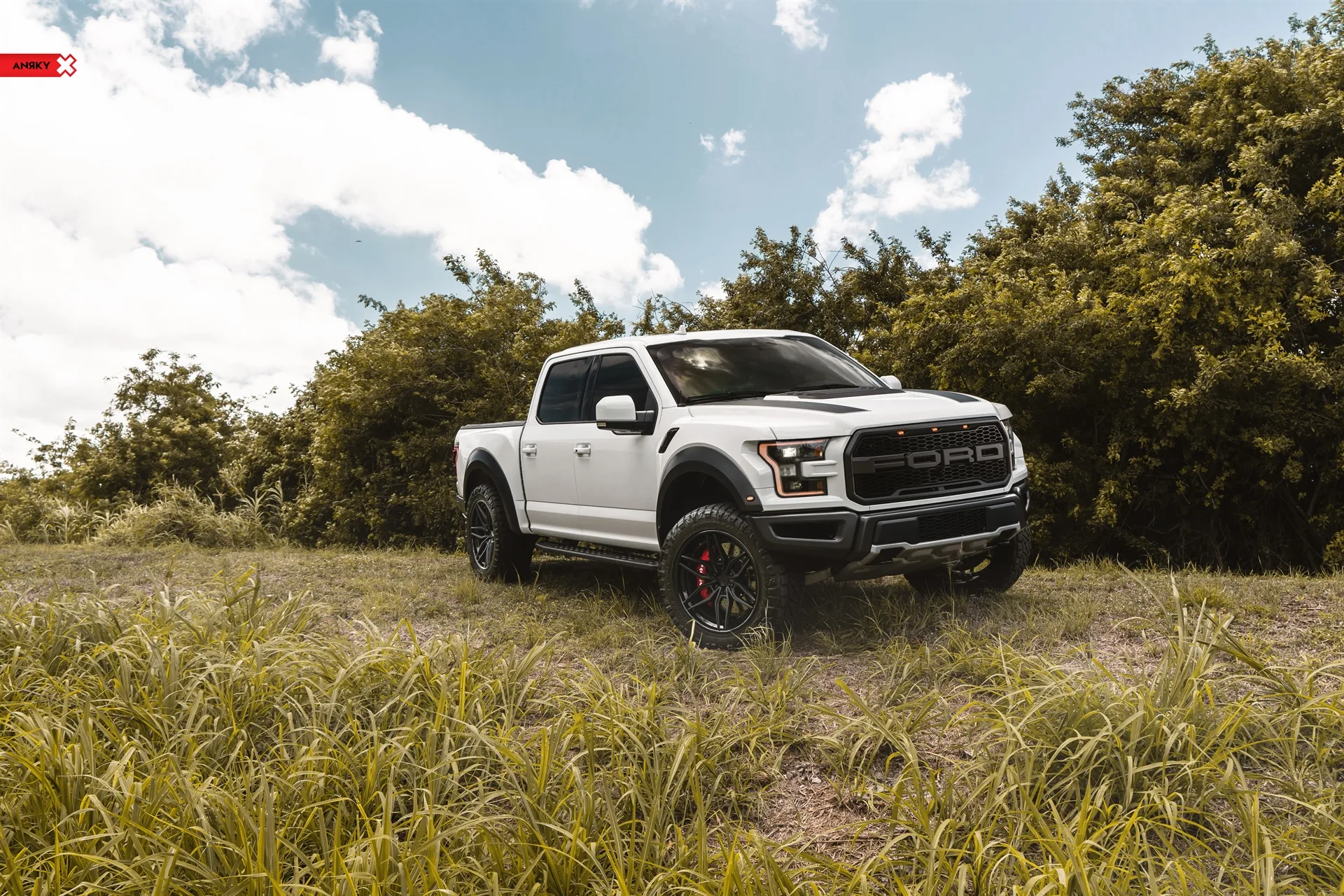 Anrky Ford F150 Raptor, AN36 SeriesTHREE on Ford F-150 Raptor 2nd generation (2017-2020), photo 7
