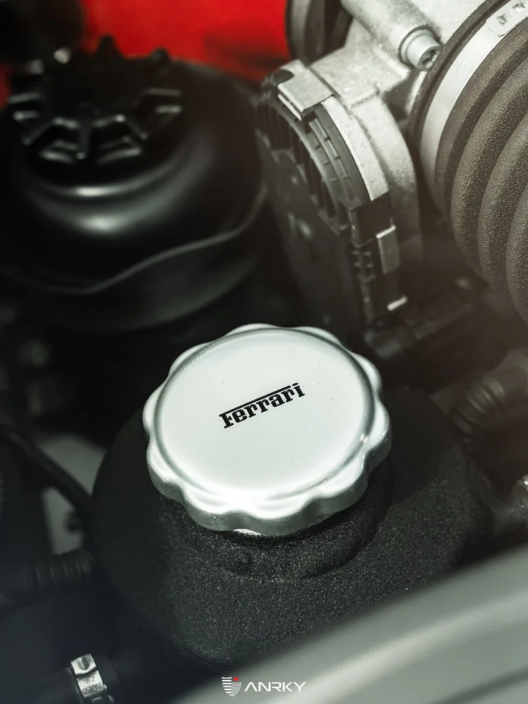 Anrky RETROSeries Classic RS1 on Ferrari F430 F131 E, photo 11