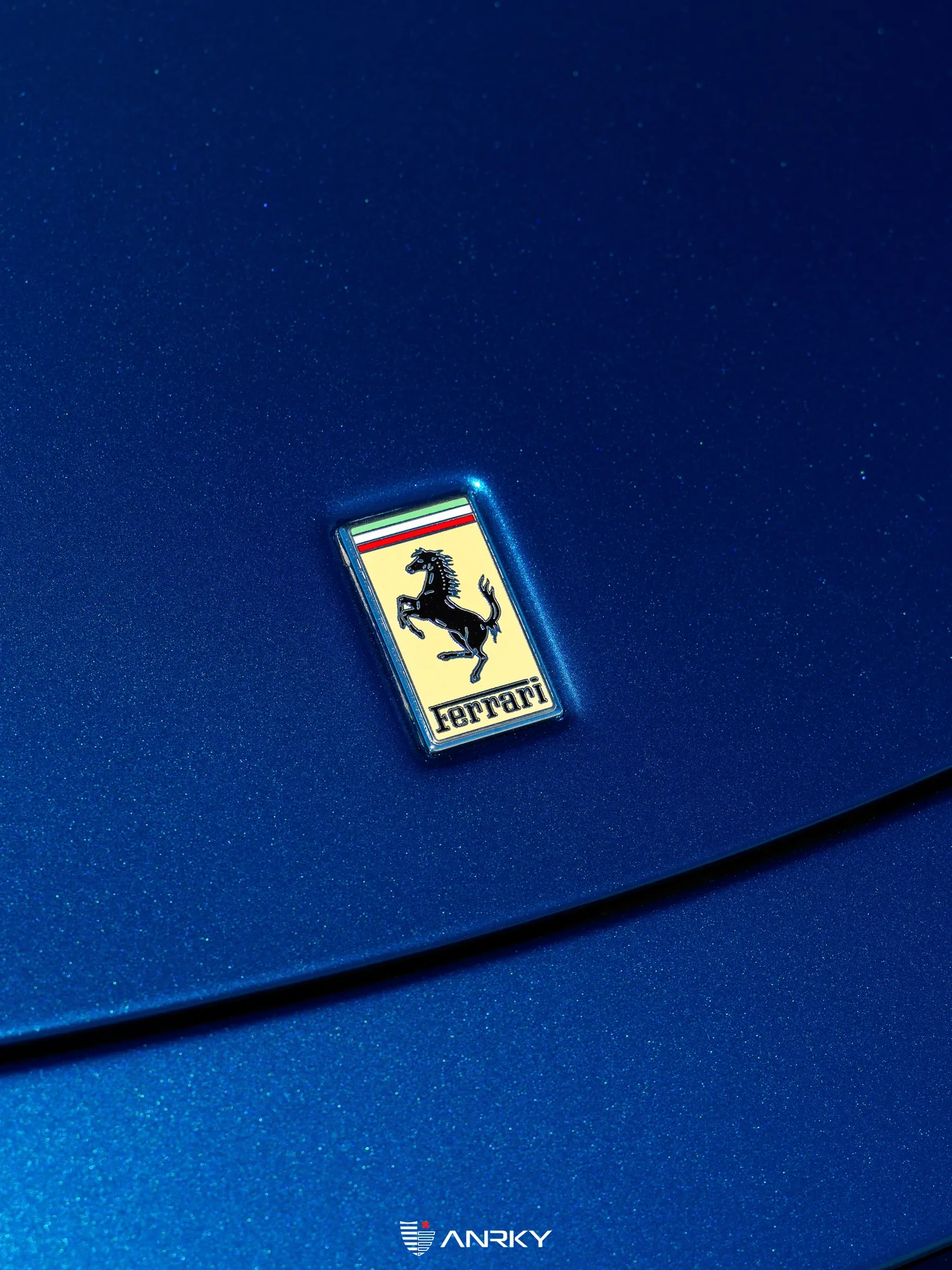 Anrky RETROSeries RS1 Classic on Ferrari F430 F131 E, photo 8