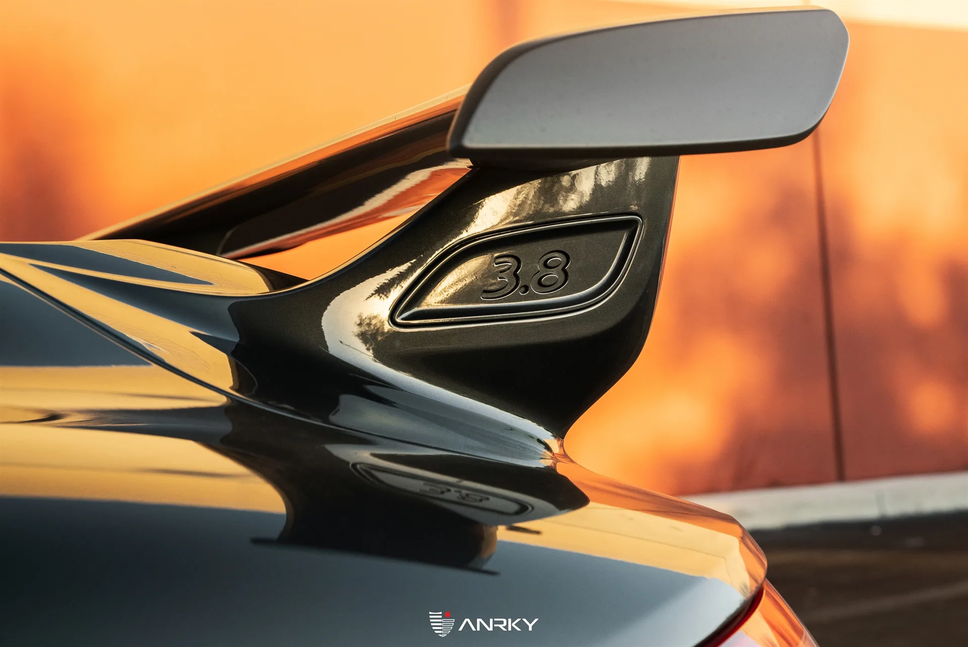 Anrky RETROSeries RS1 on Porsche 911 991.1, photo 6
