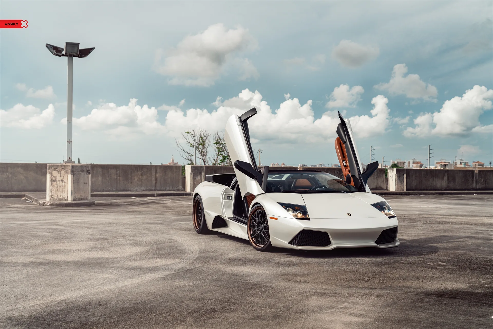 Anrky RETROSeries RS1 on Lamborghini Murcielago (2001), photo 11