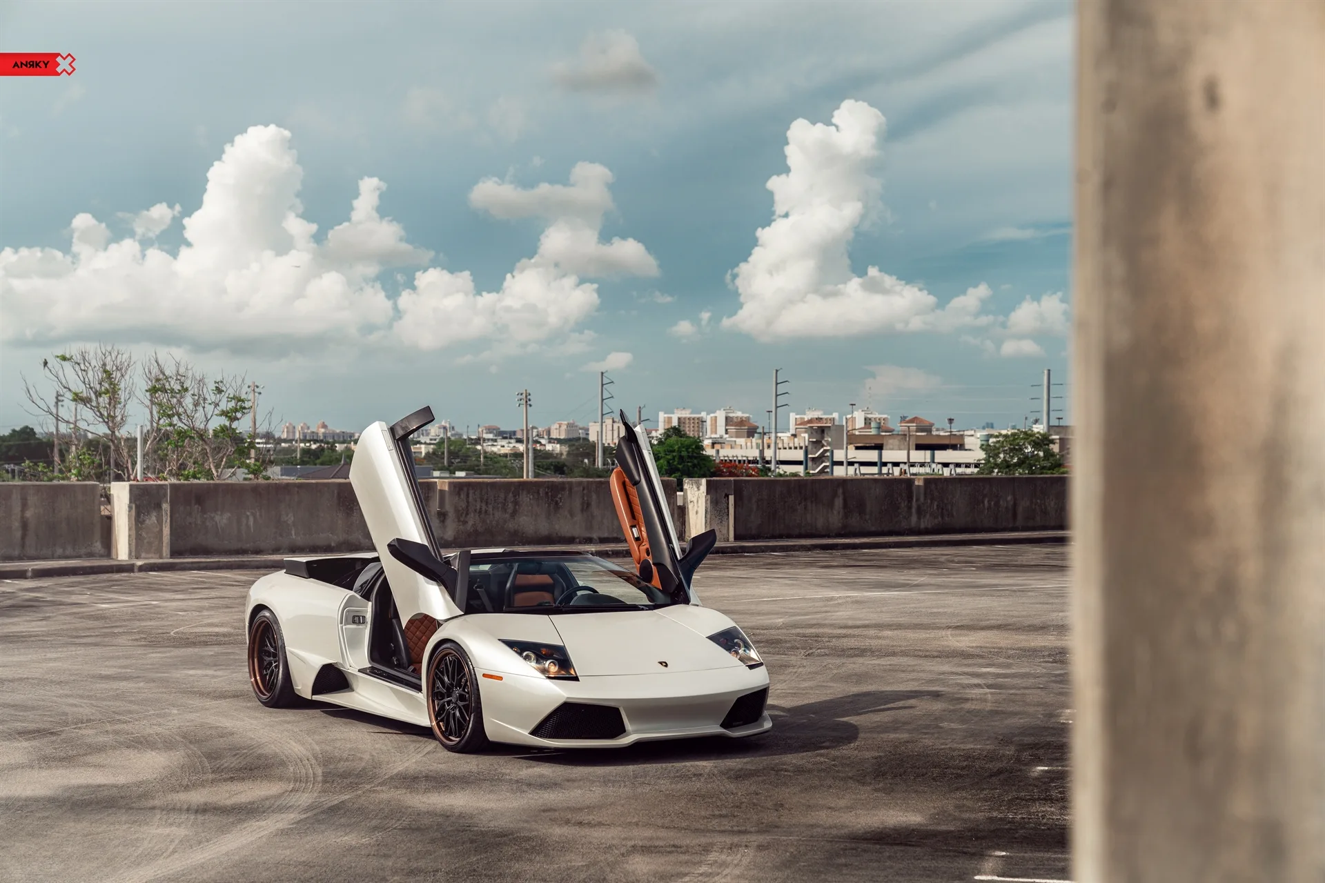 Anrky RETROSeries RS1 on Lamborghini Murcielago (2001), photo 10