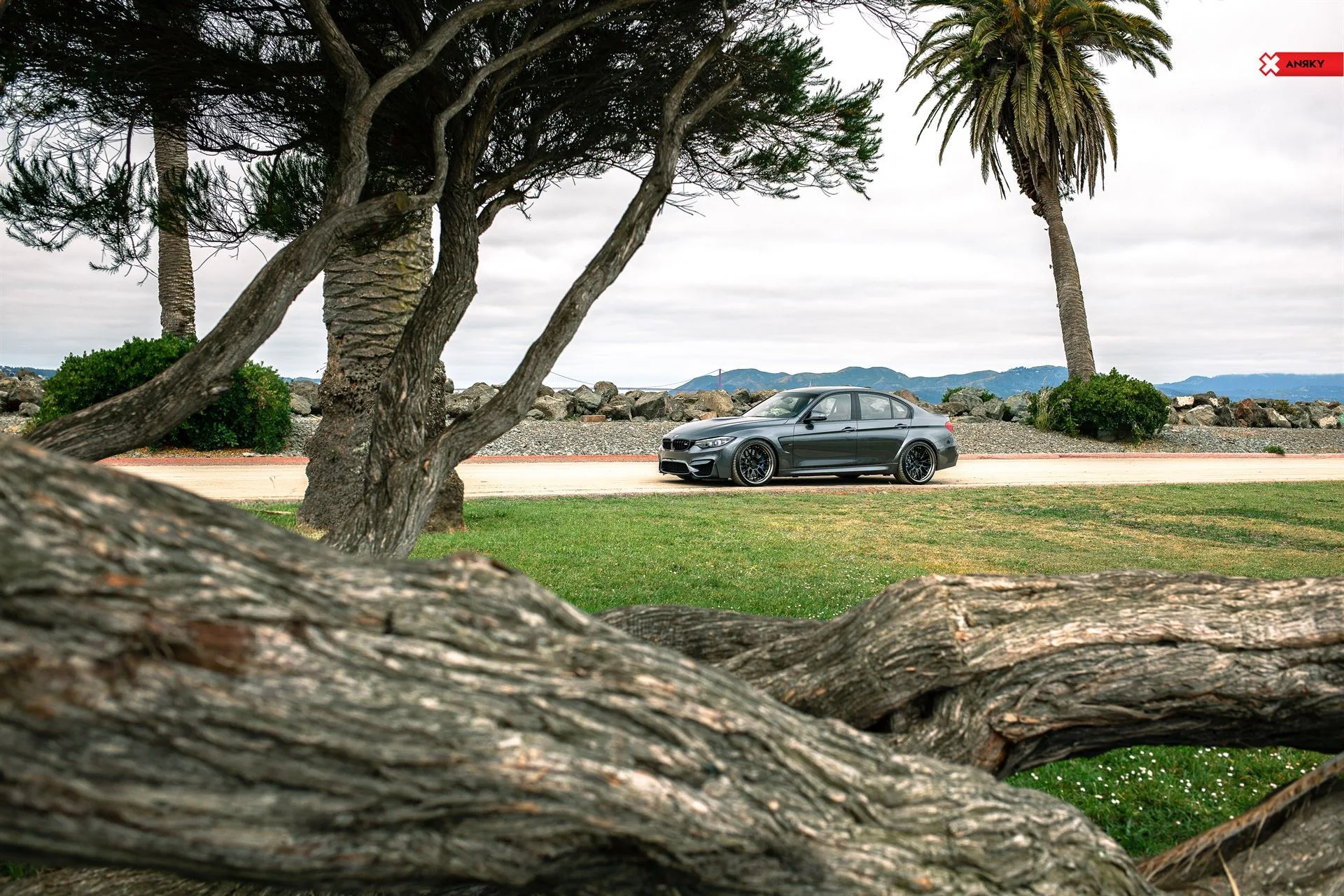 Anrky RETROSeries RS1 on BMW M3 F80.2, photo 3
