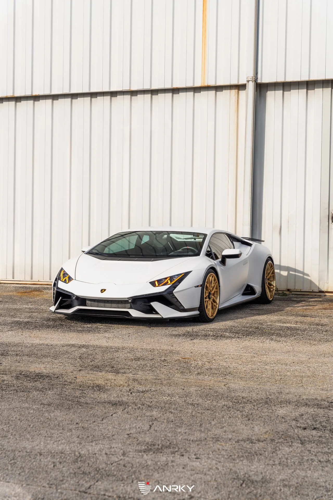 Anrky RETROSeries RS2.3 on Lamborghini Huracan (2014), photo 11