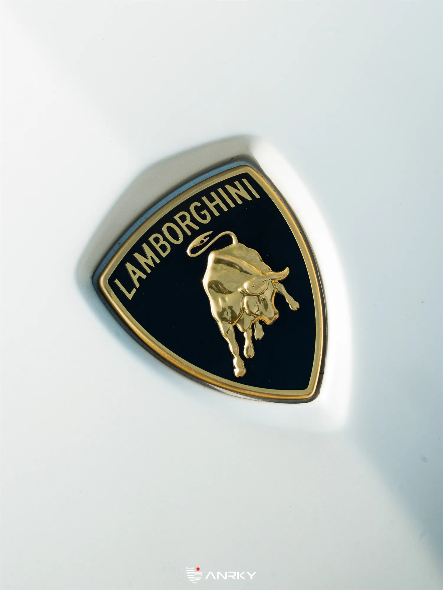 Anrky RETROSeries RS5.3 on Lamborghini Aventador SV LP 750-4 (2015-2017), photo 10
