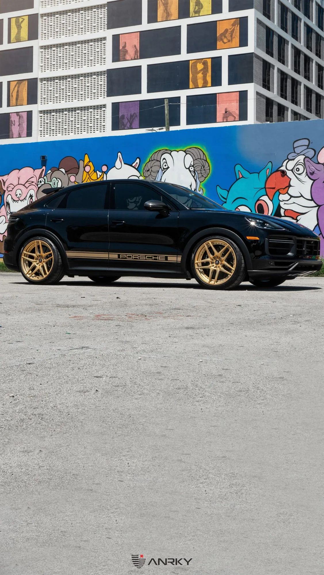 Anrky RETROSeries RS6.2 on Porsche Cayenne 9YA/E3.1, photo 9