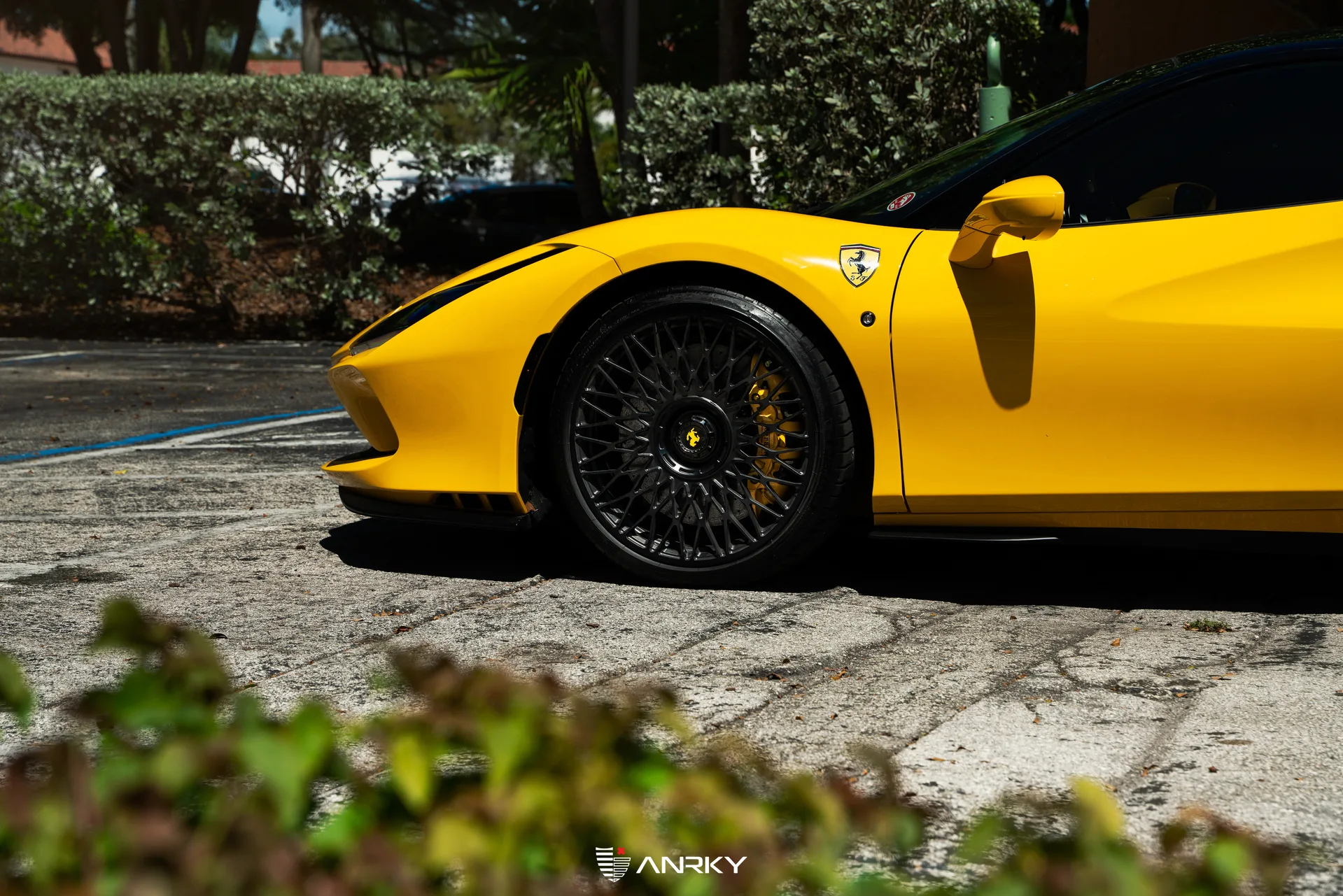 Anrky RETROSeries RS7.1 on Ferrari F8 F142MFL, photo 3