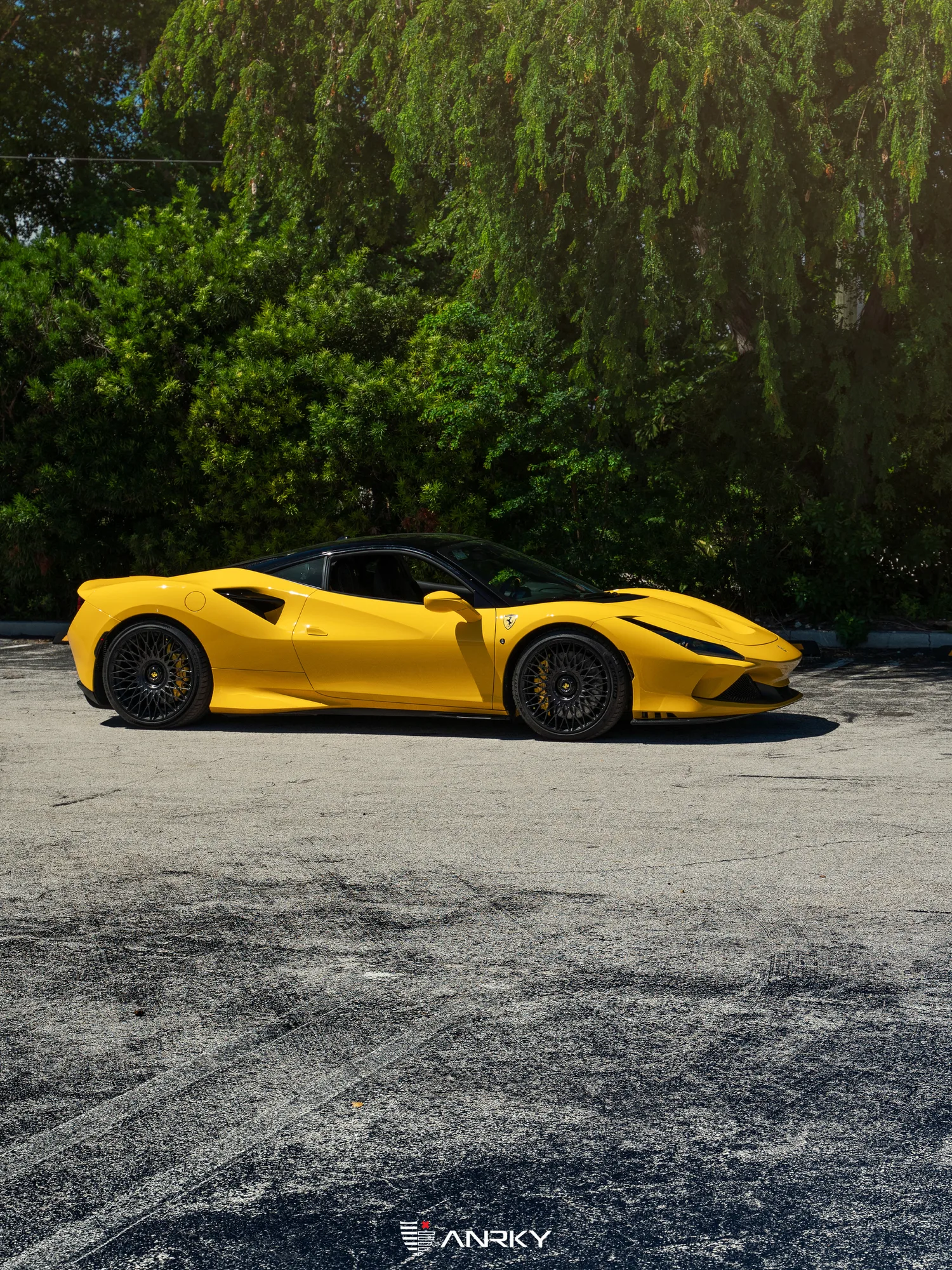 Anrky RETROSeries RS7.1 on Ferrari F8 F142MFL, photo 10