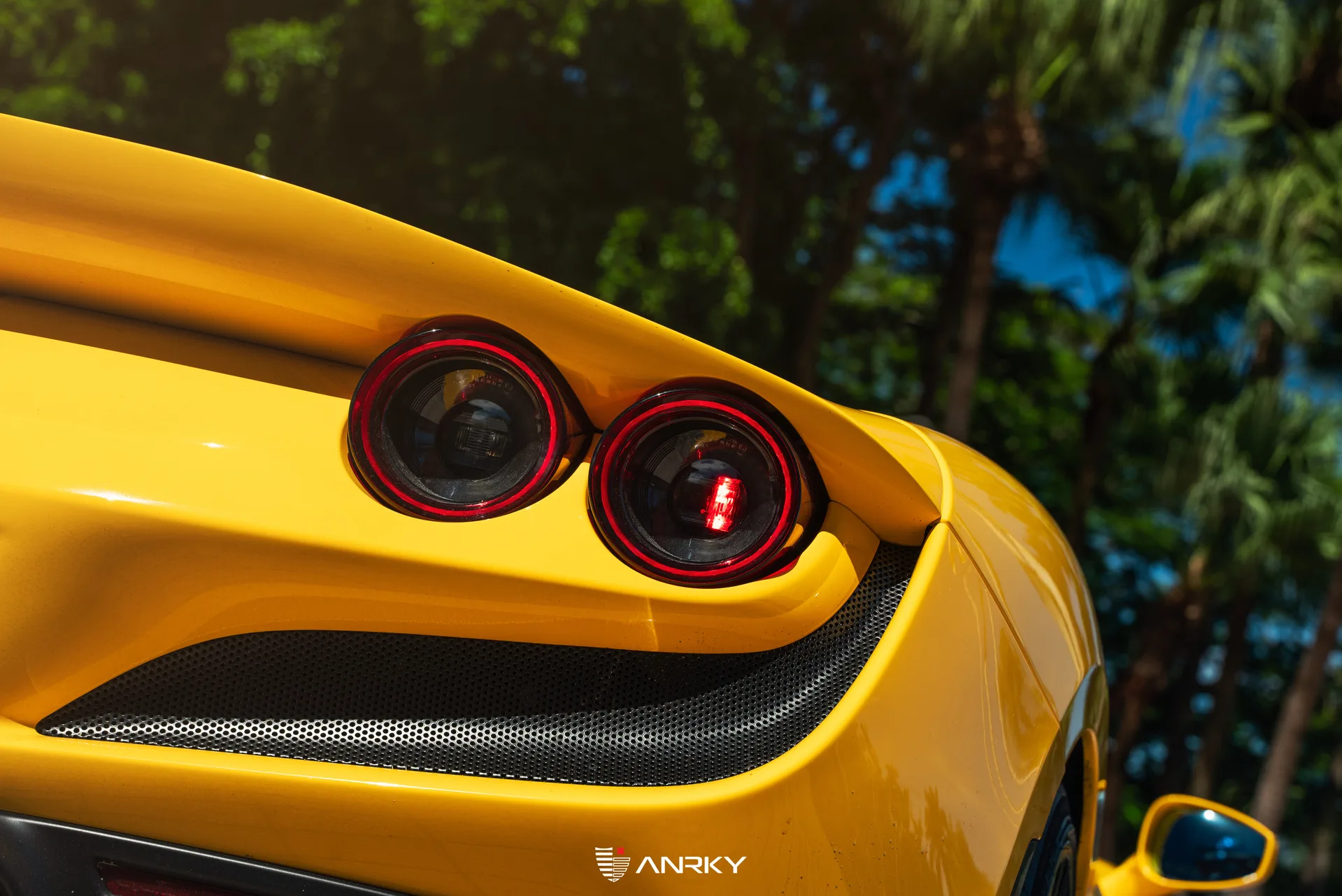 Anrky RETROSeries RS7.1 on Ferrari F8 F142MFL, photo 12