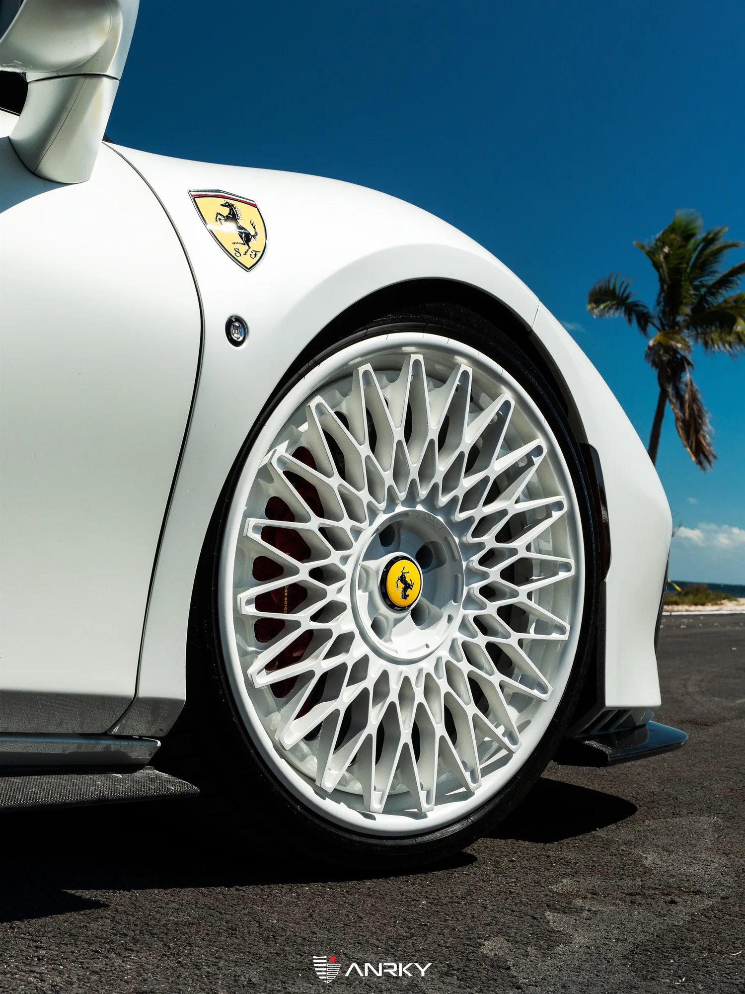 Anrky RETROSeries RS7.3 on Ferrari F8 F142MFL, photo 8