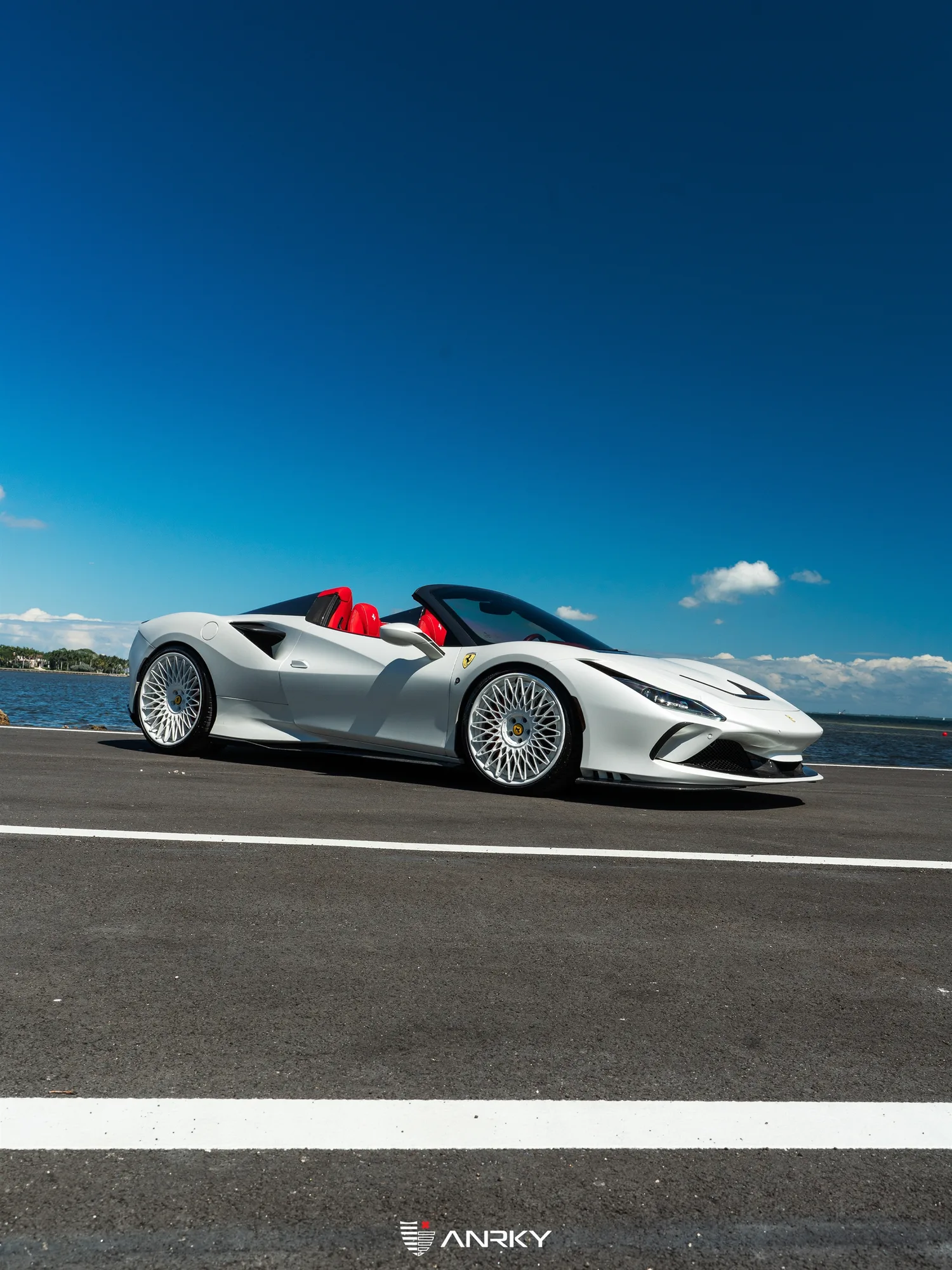 Anrky RETROSeries RS7.3 on Ferrari F8 F142MFL, photo 7